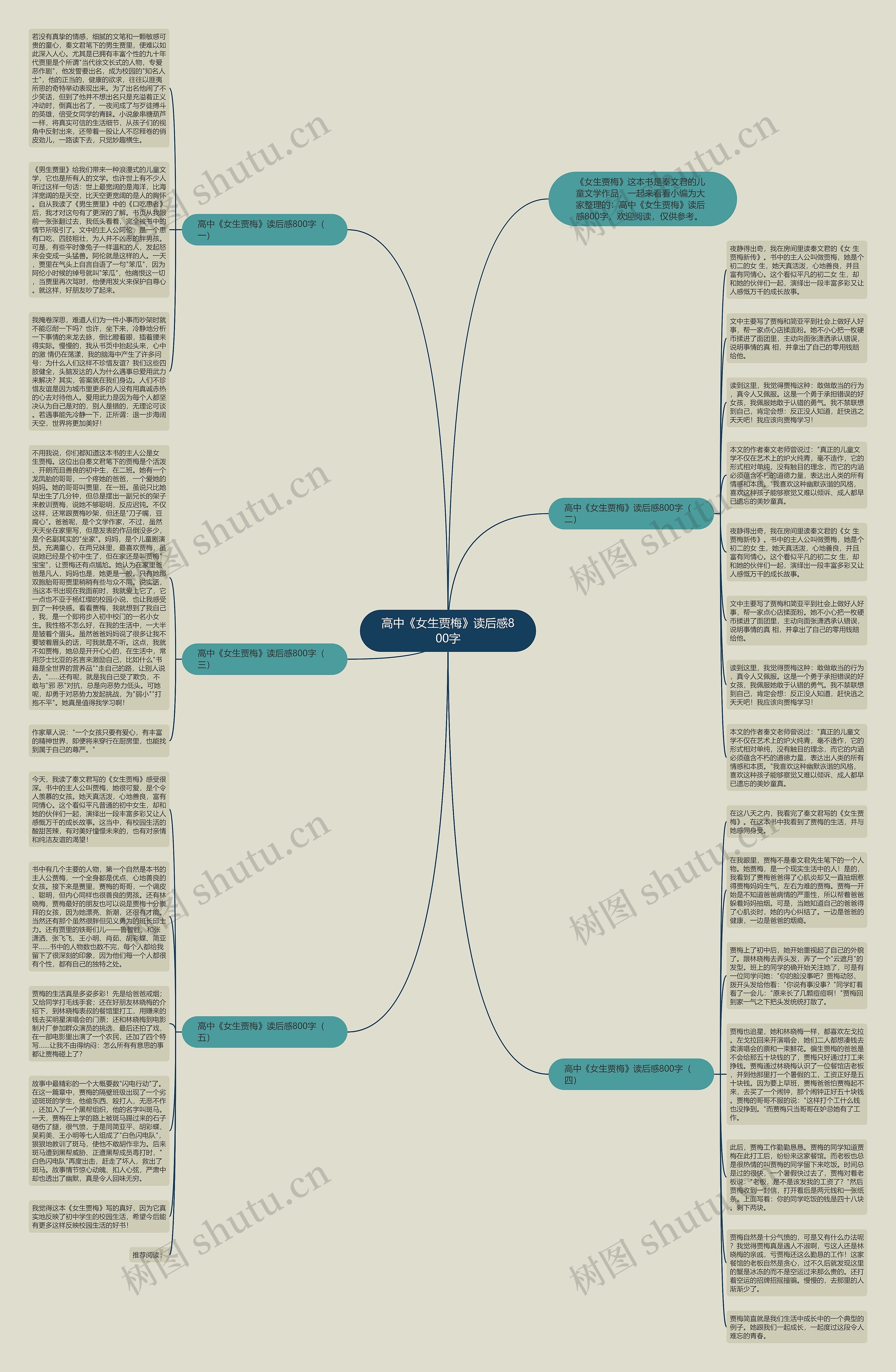 高中《女生贾梅》读后感800字思维导图