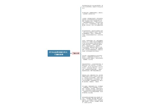 2016山东高考满分作文：行囊的故事