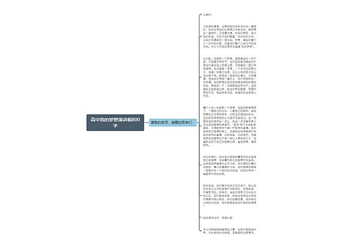 高中我的梦想演讲稿800字