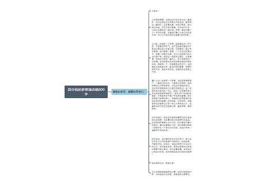 高中我的梦想演讲稿800字