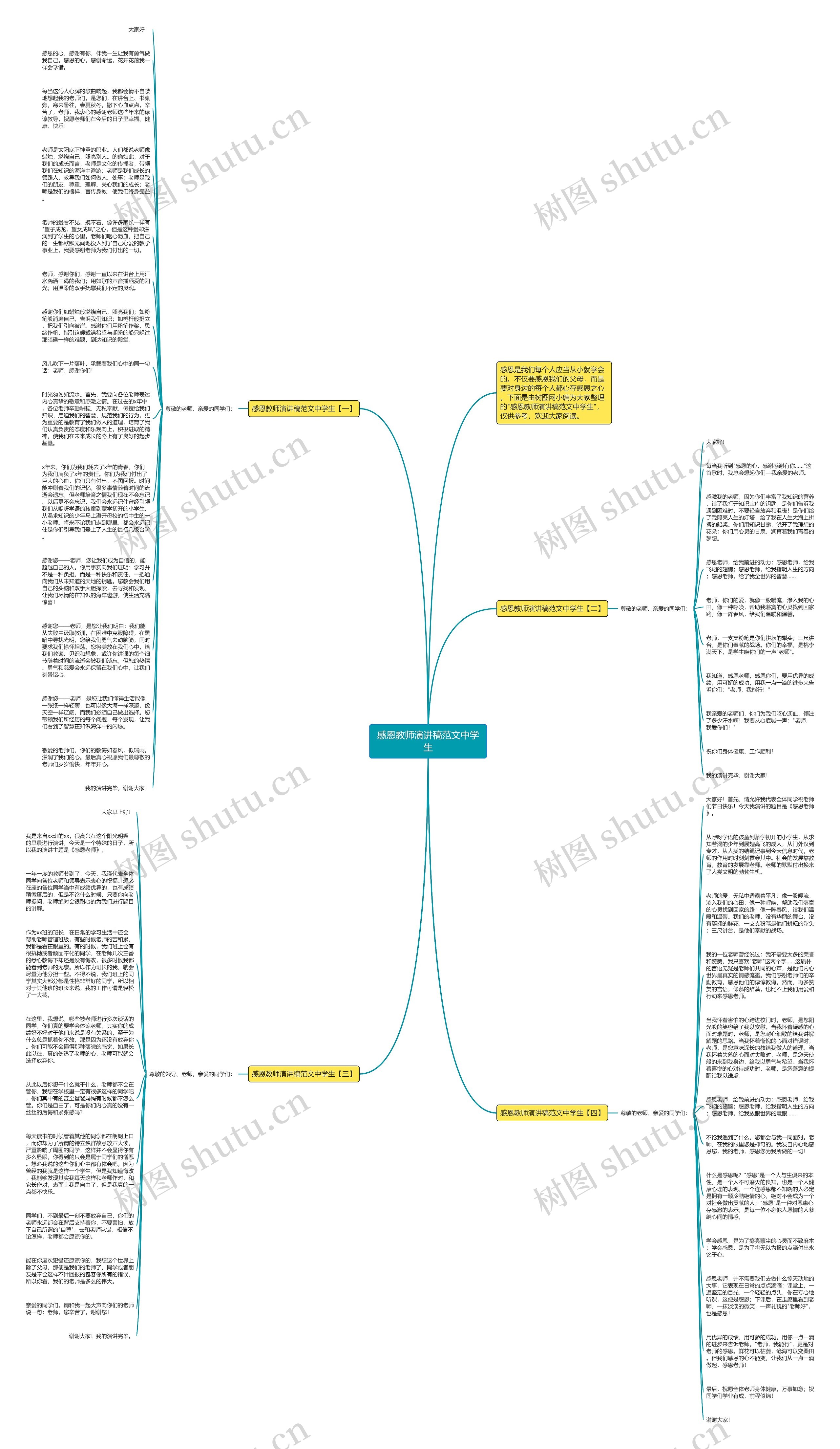 感恩教师演讲稿范文中学生思维导图