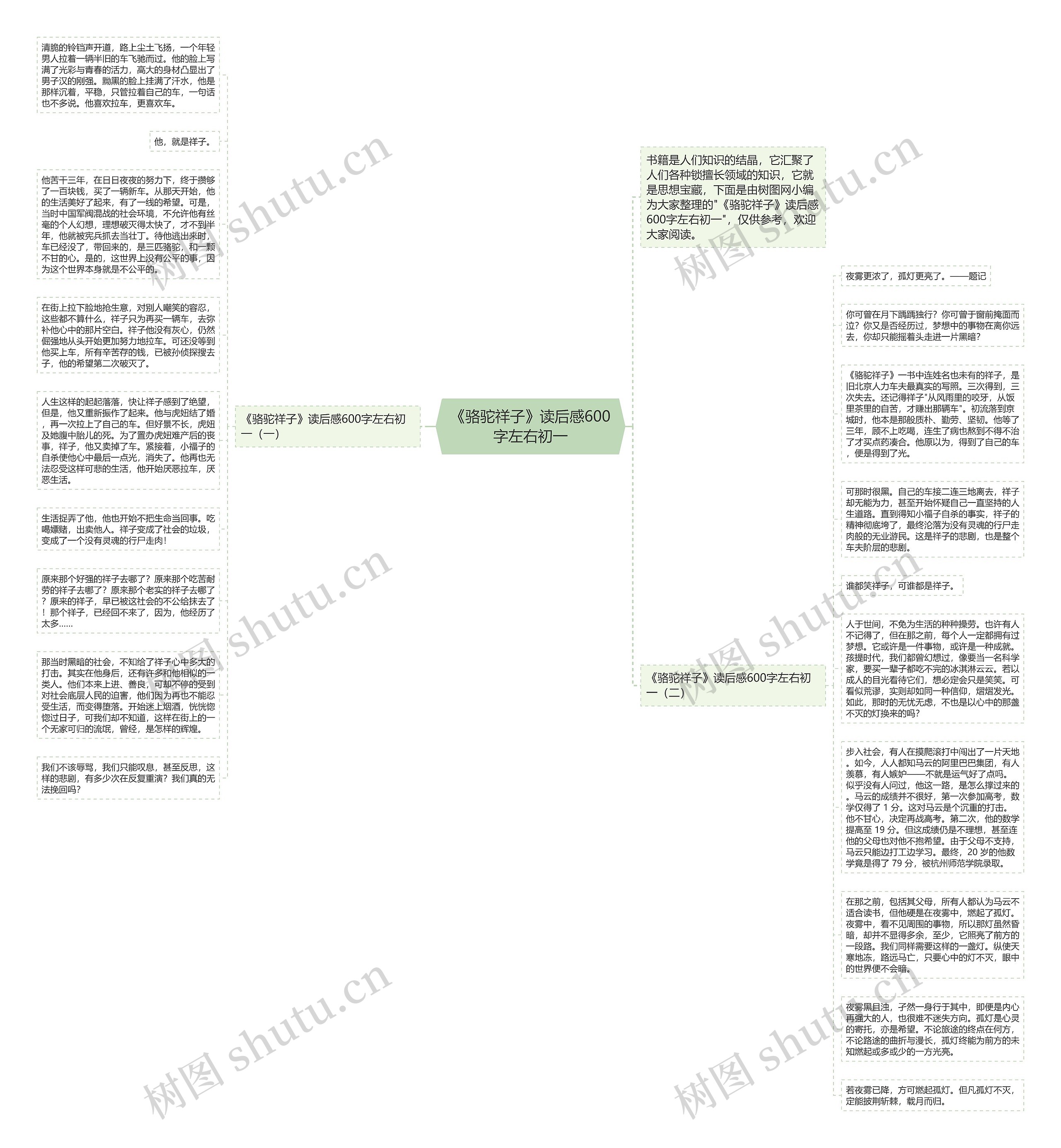 《骆驼祥子》读后感600字左右初一思维导图