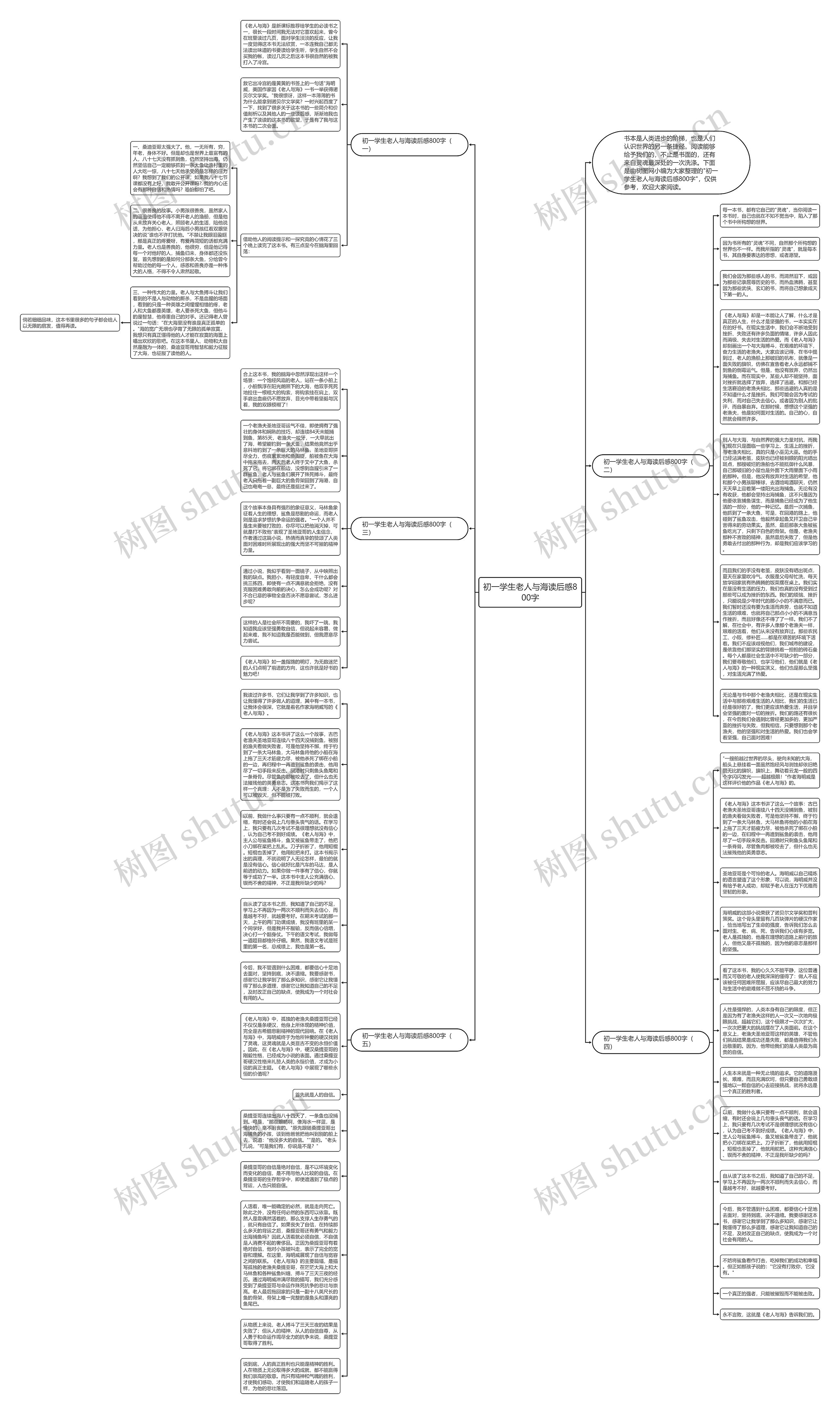 初一学生老人与海读后感800字