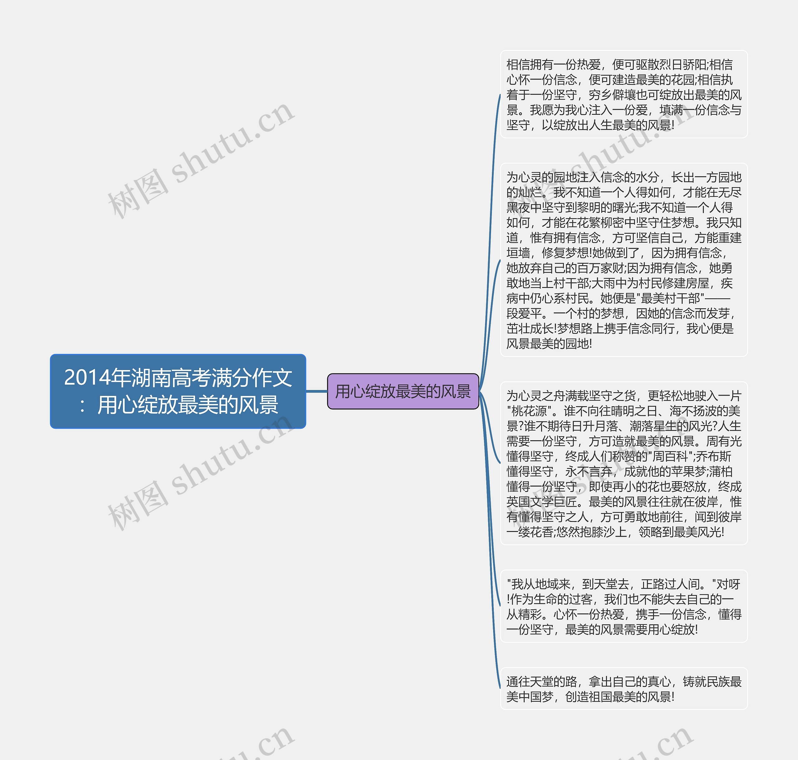 2014年湖南高考满分作文：用心绽放最美的风景思维导图