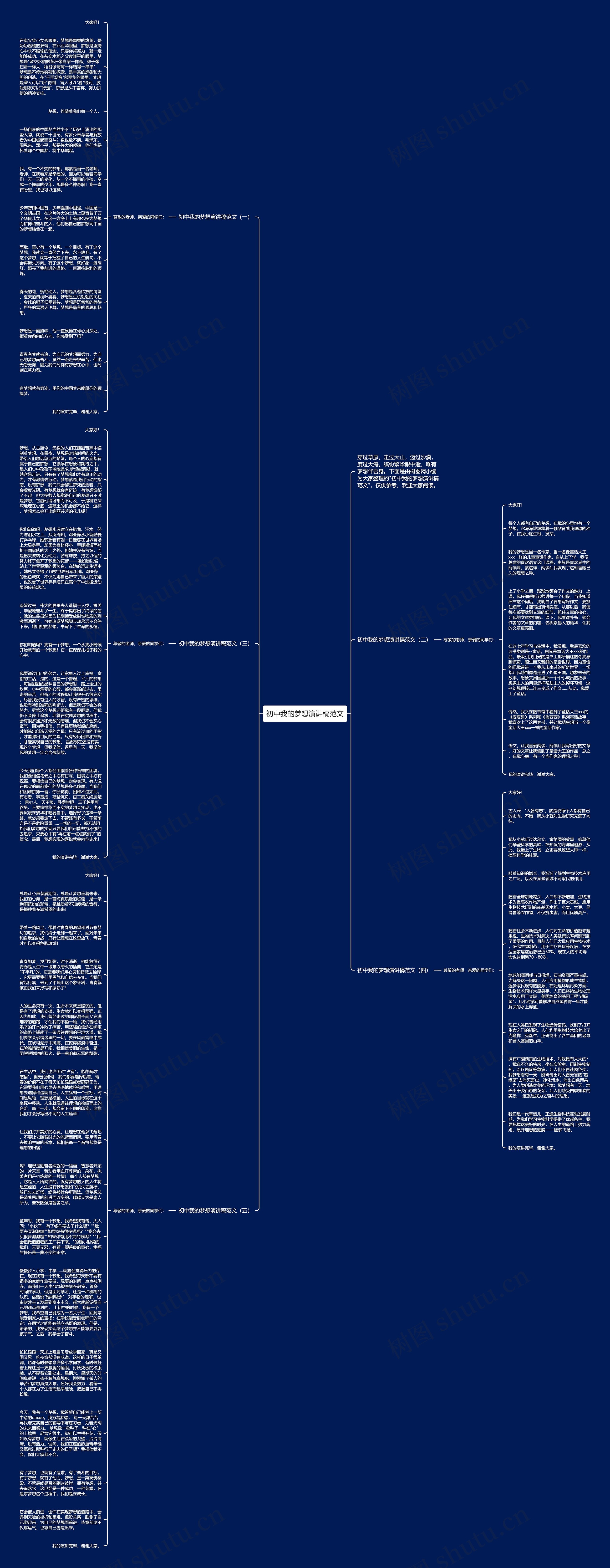 初中我的梦想演讲稿范文思维导图高清图 初中我的梦想演讲稿范文思维导图