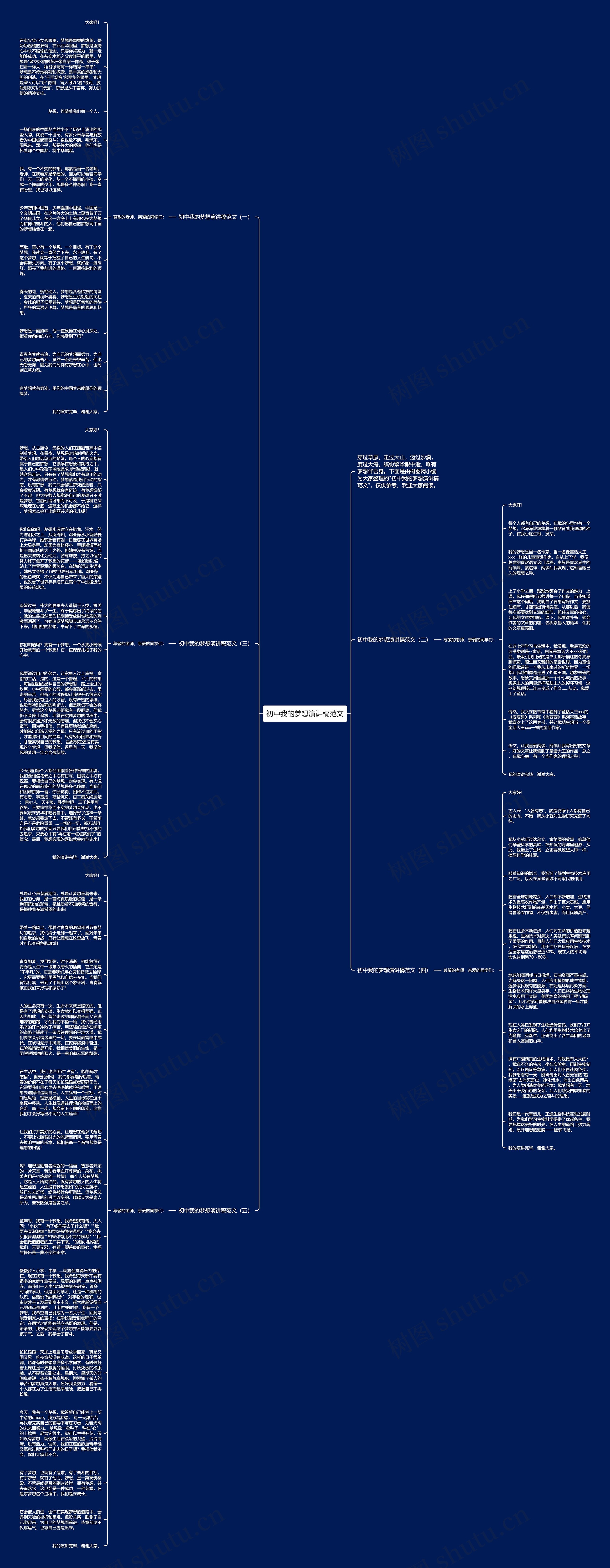 初中我的梦想演讲稿范文思维导图