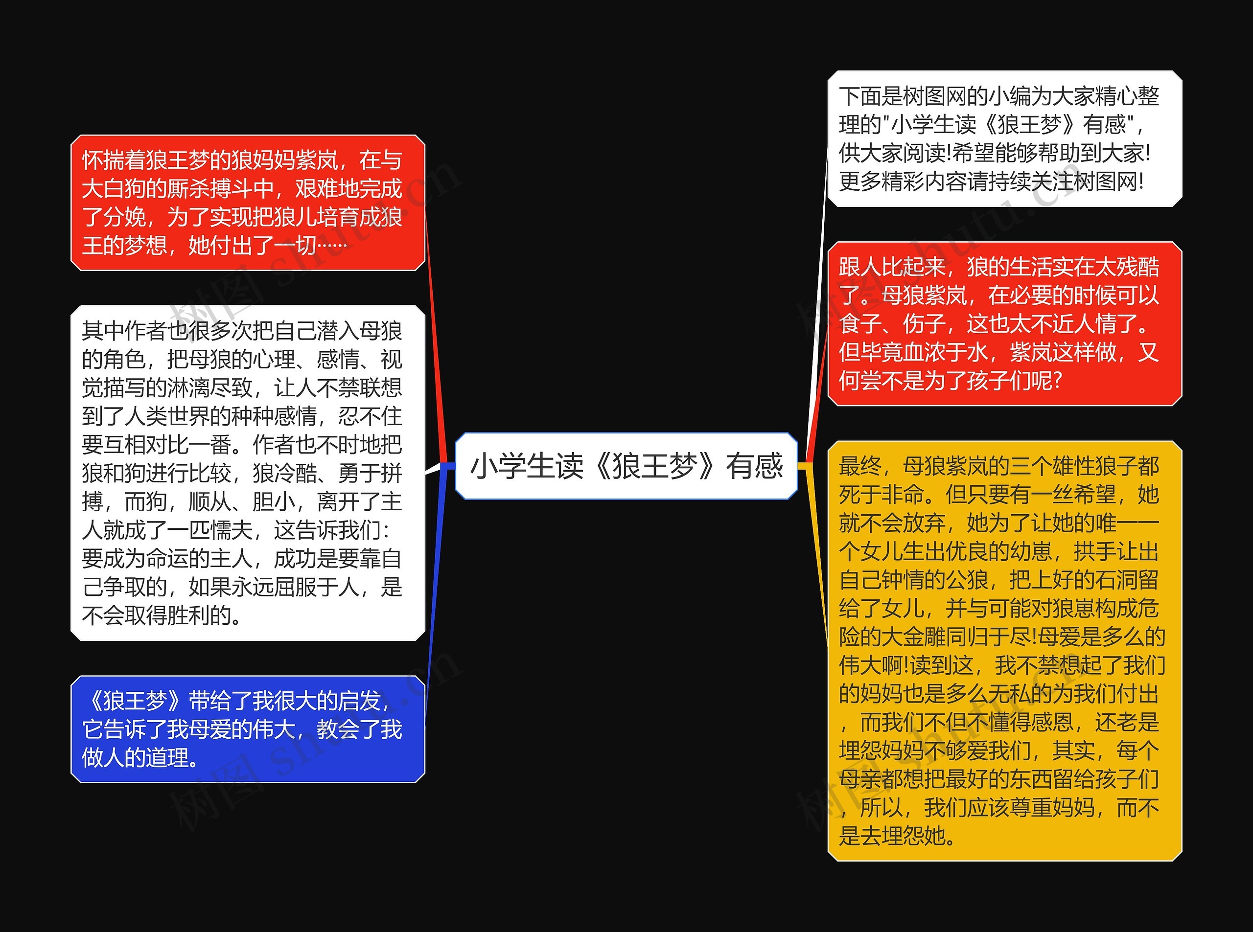 小学生读《狼王梦》有感