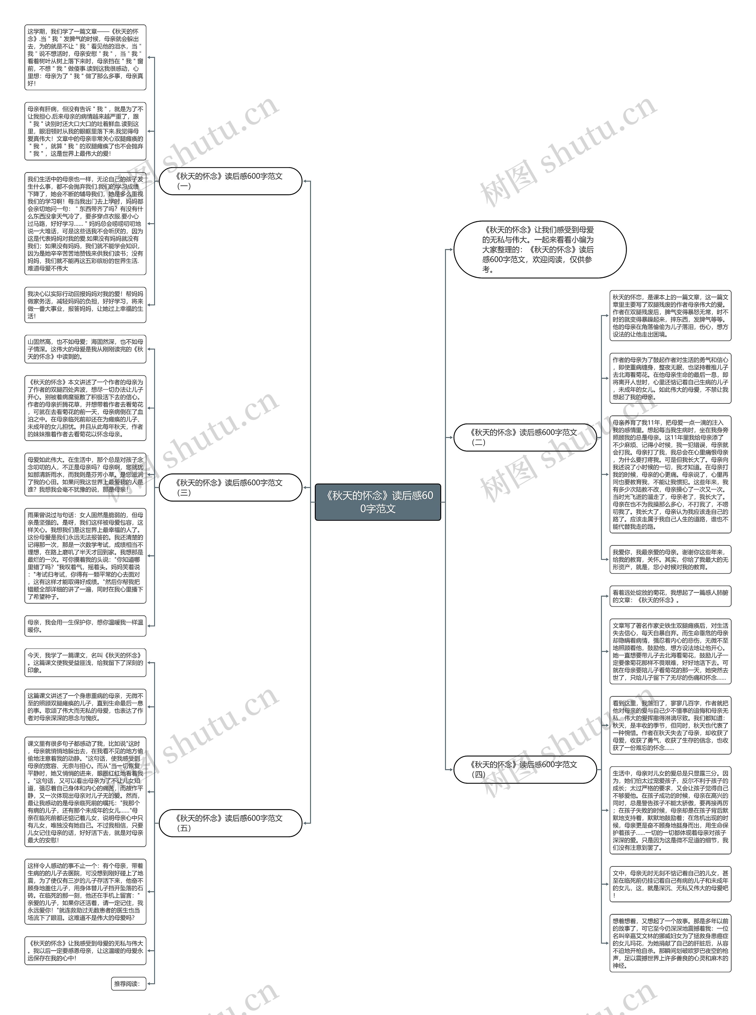 《秋天的怀念》读后感600字范文思维导图