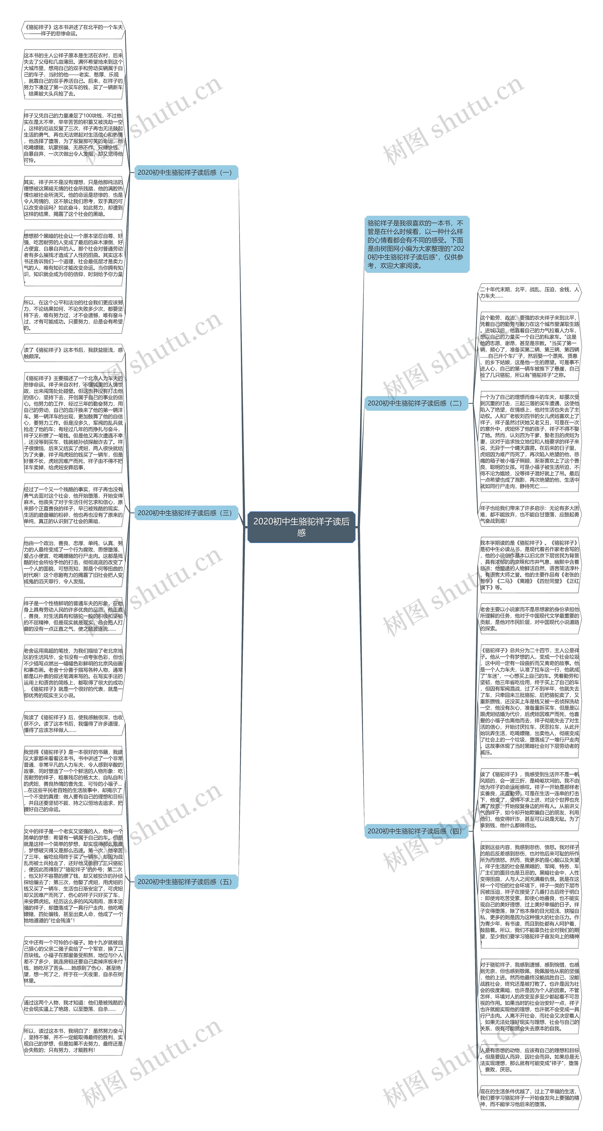 2020初中生骆驼祥子读后感思维导图