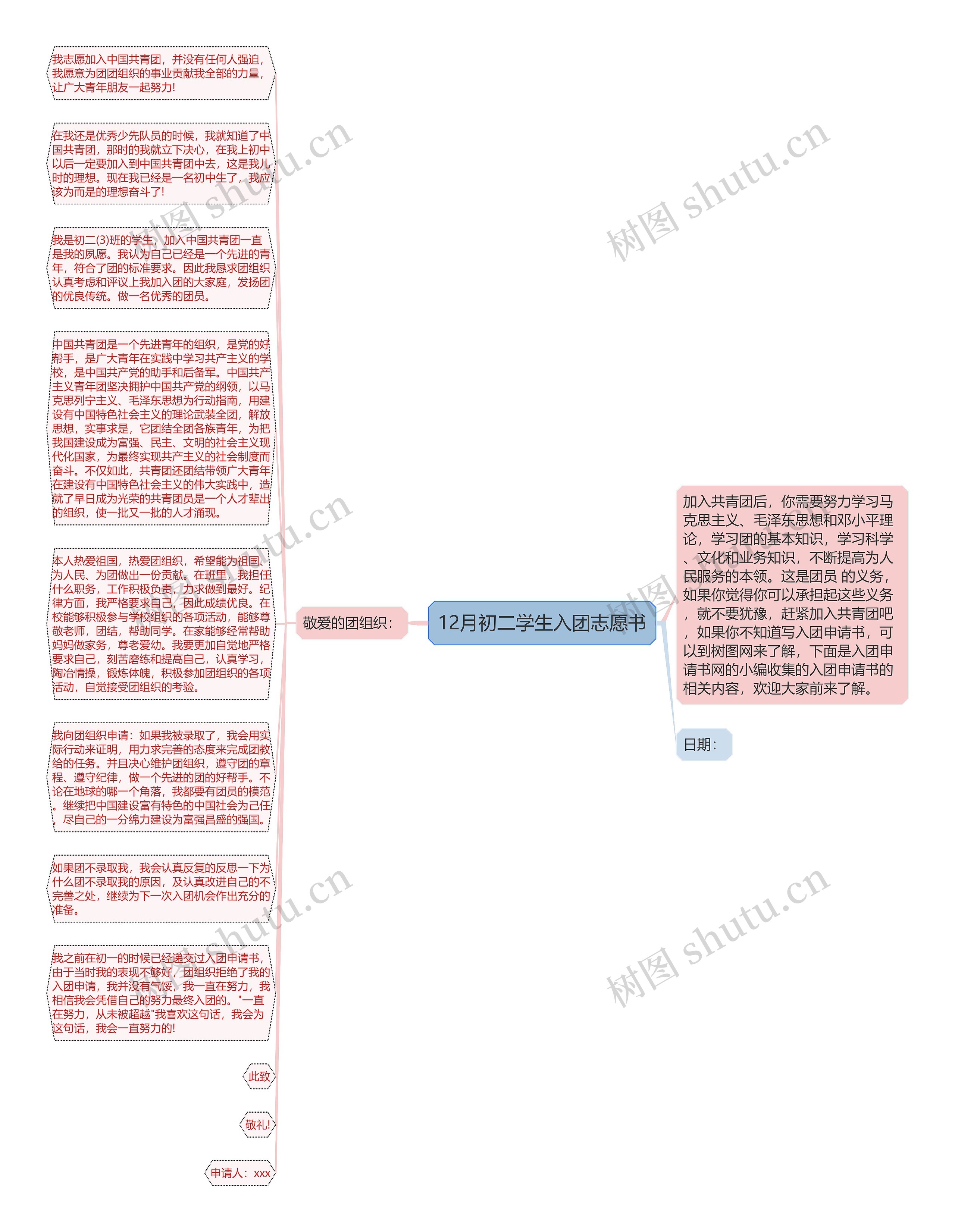 12月初二学生入团志愿书