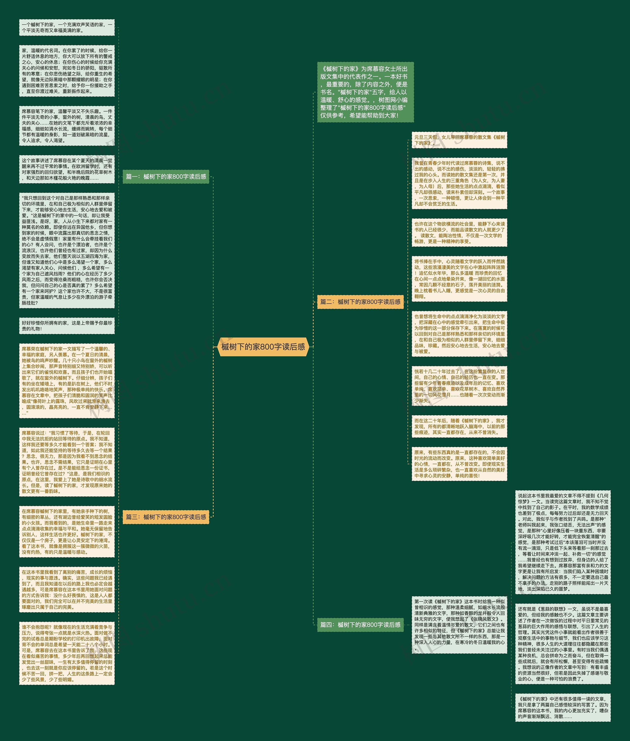 槭树下的家800字读后感思维导图