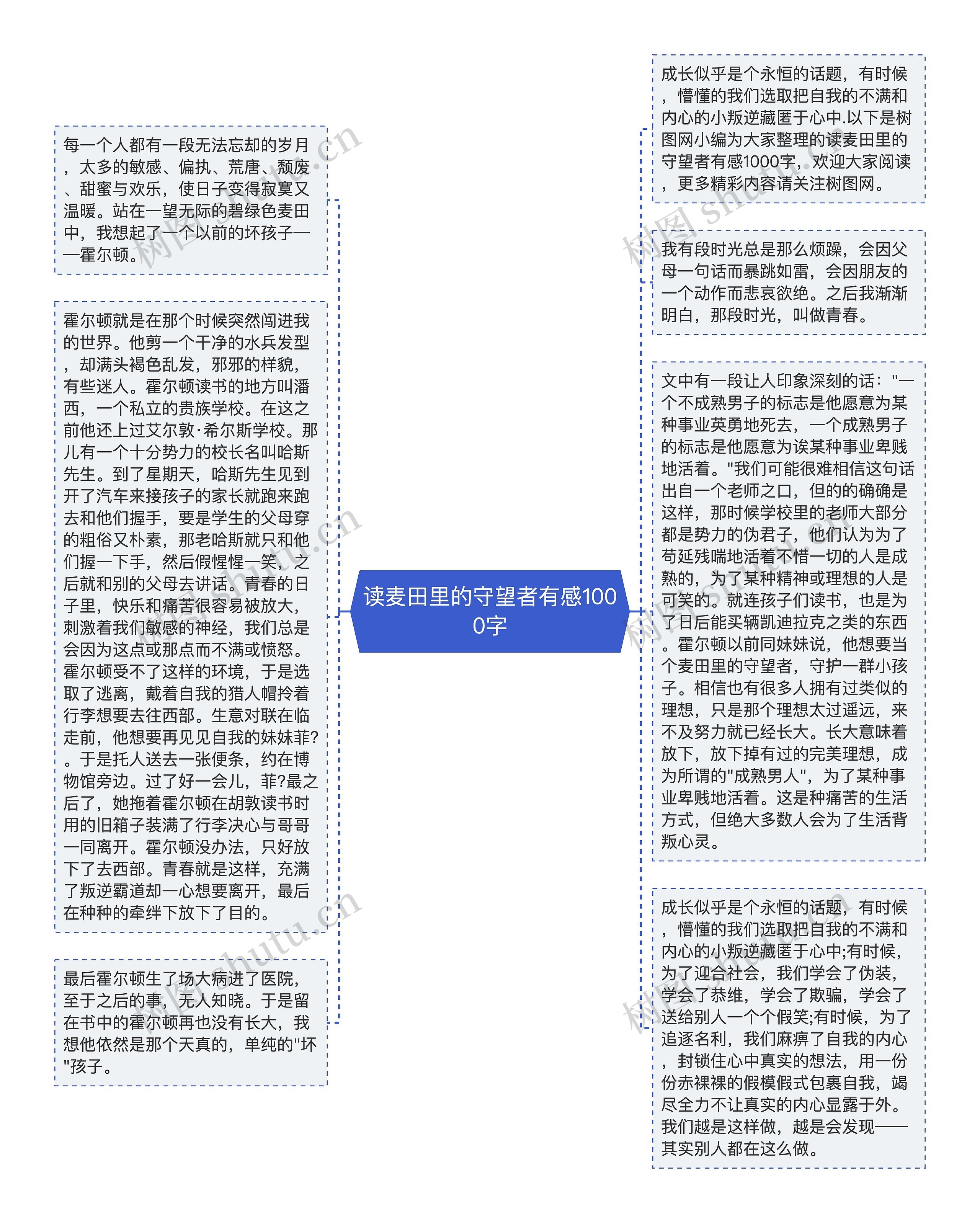 读麦田里的守望者有感1000字