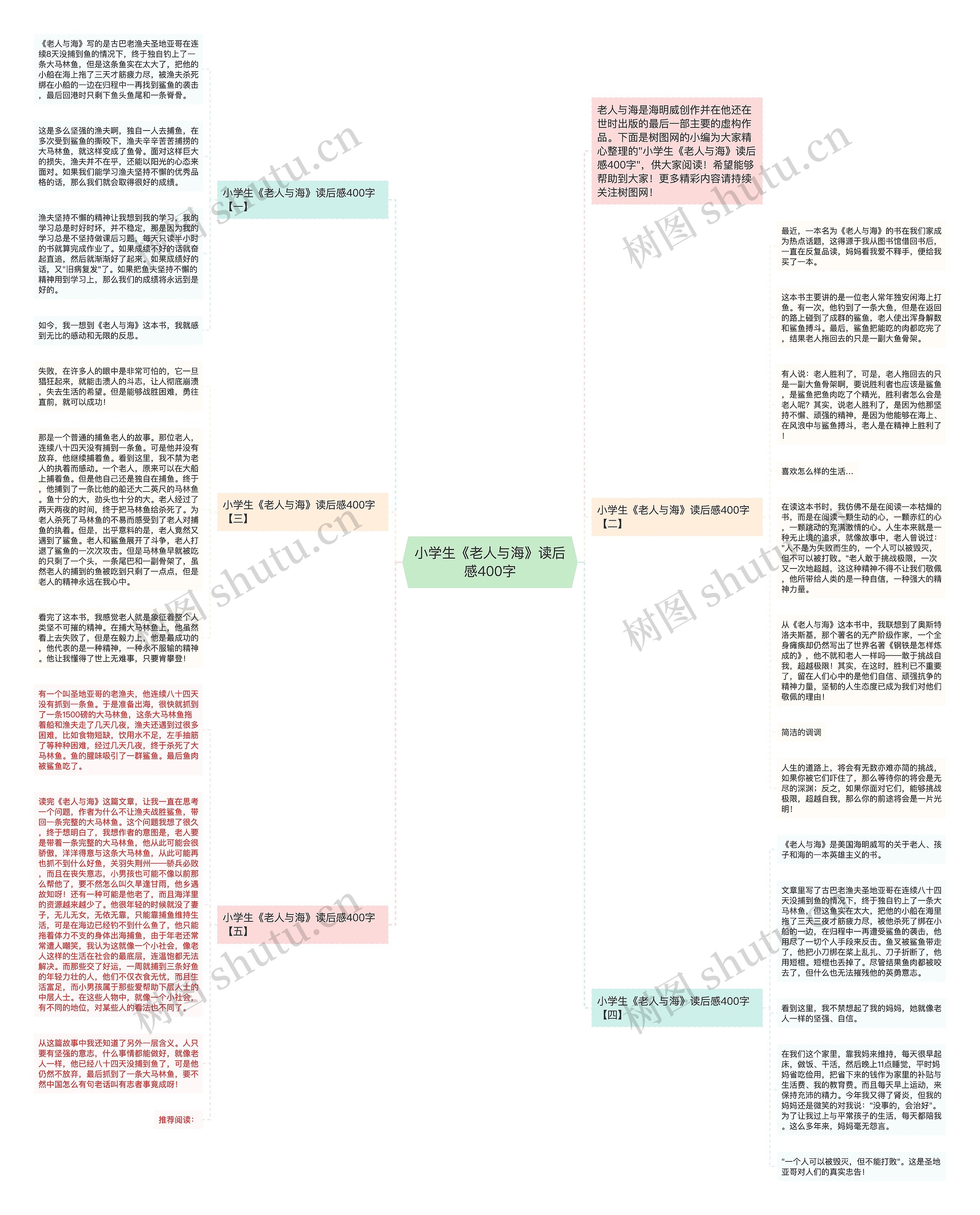小学生《老人与海》读后感400字