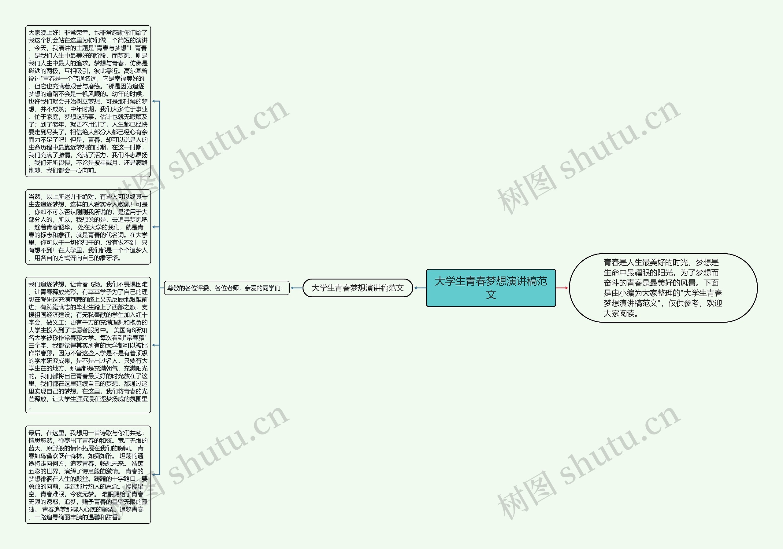 大学生青春梦想演讲稿范文思维导图