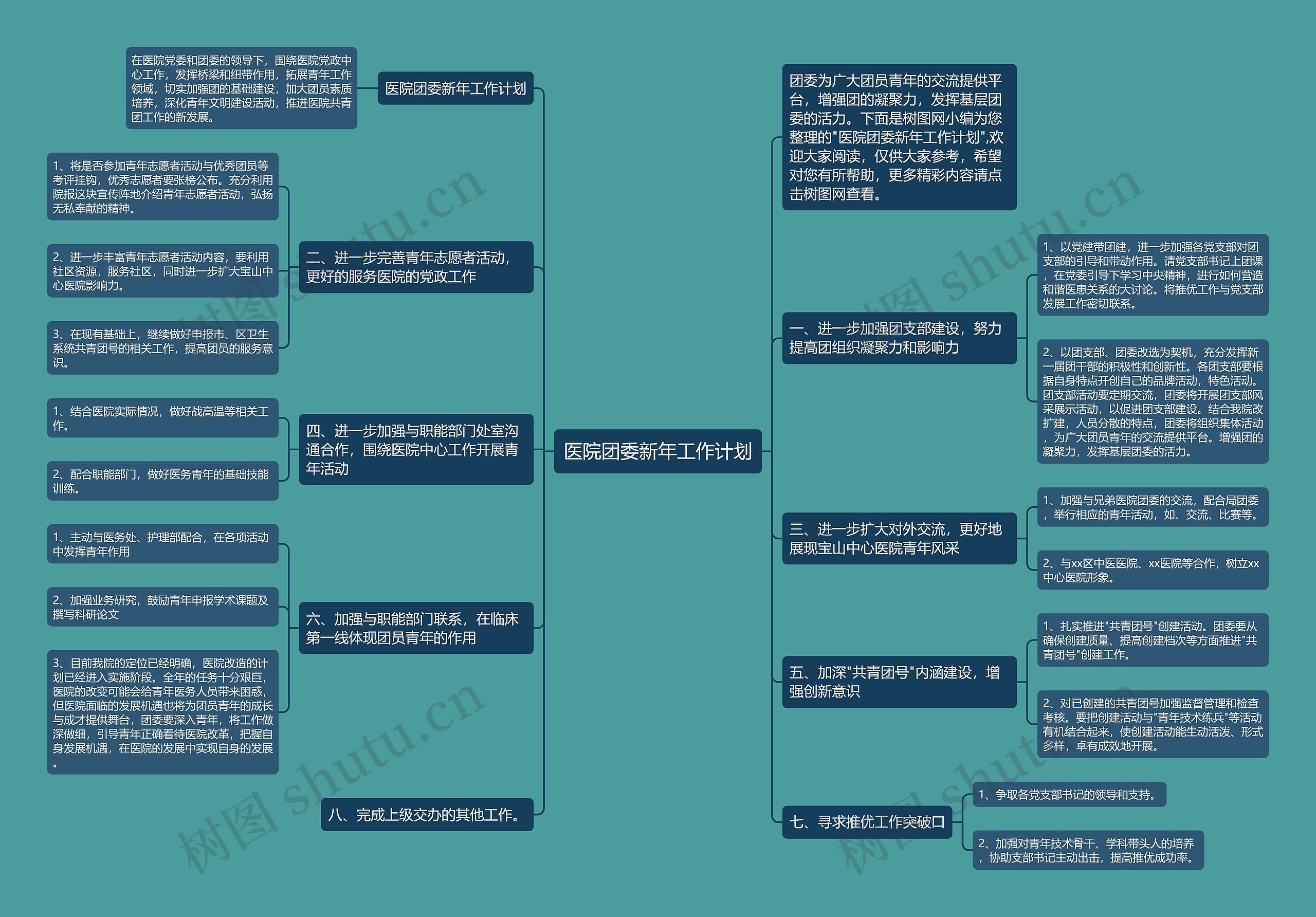 医院团委新年工作计划