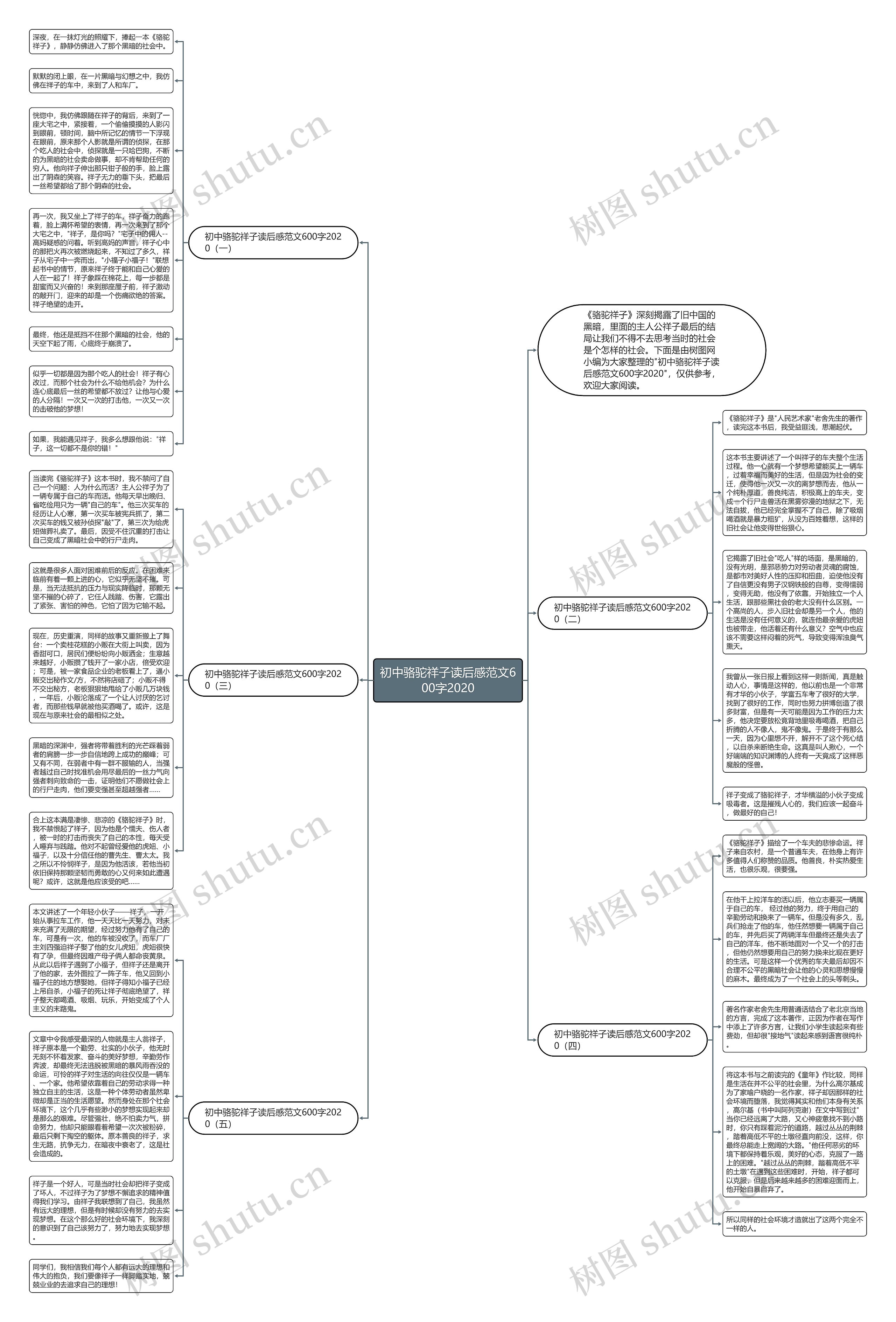 初中骆驼祥子读后感范文600字2020思维导图