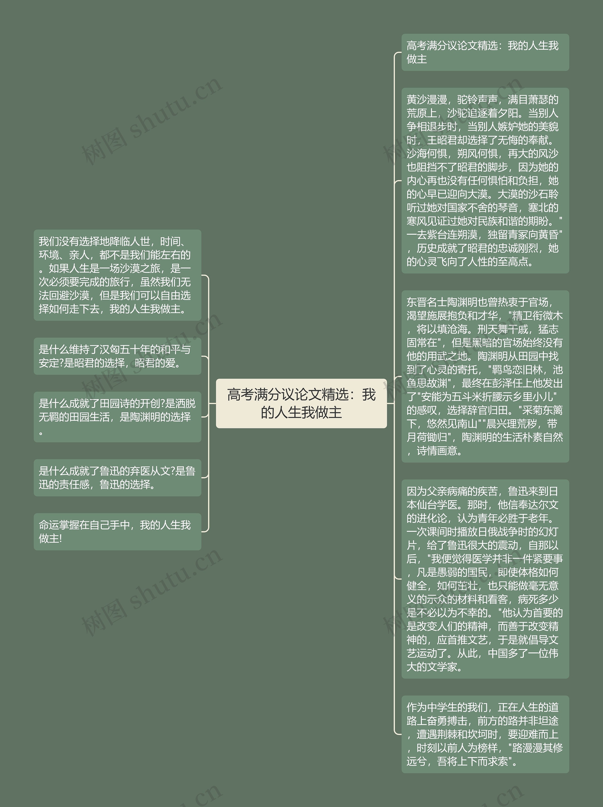 高考满分议论文精选：我的人生我做主