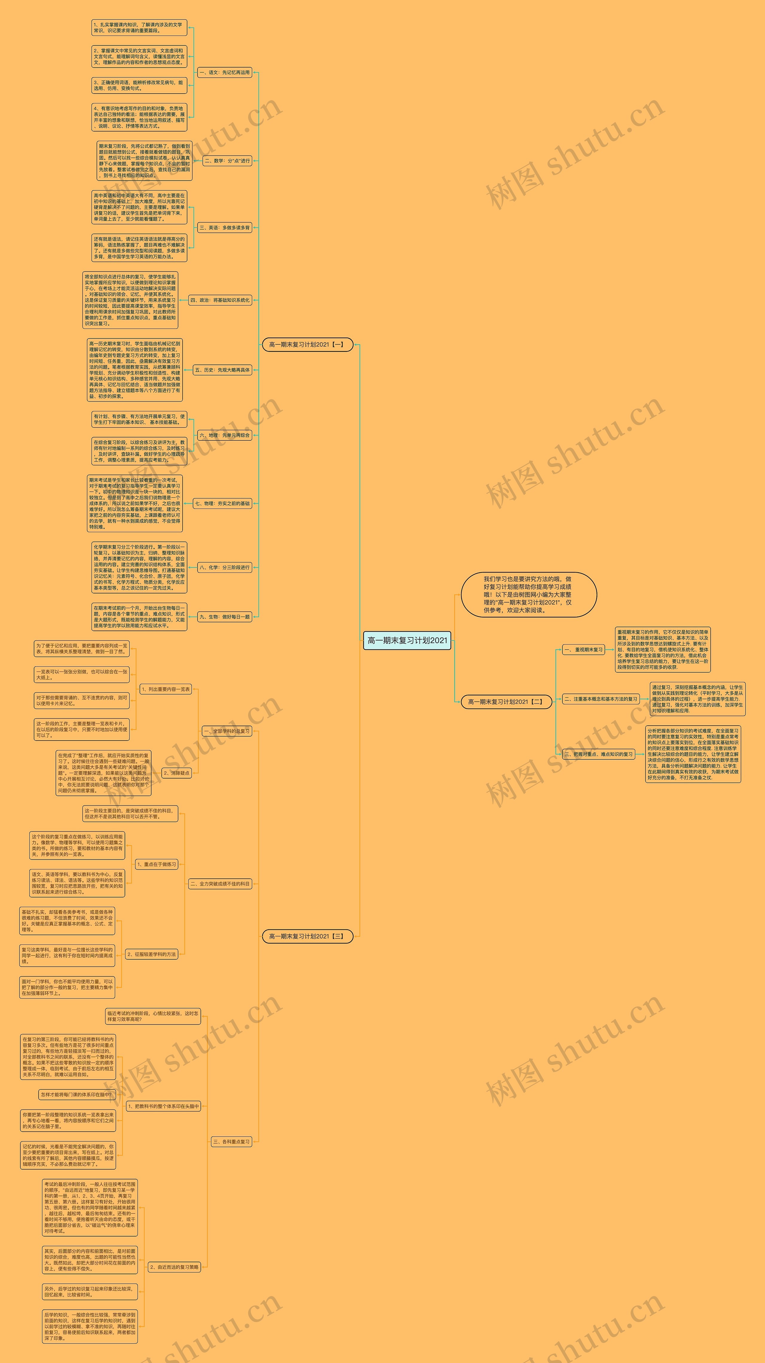 高一期末复习计划2021思维导图