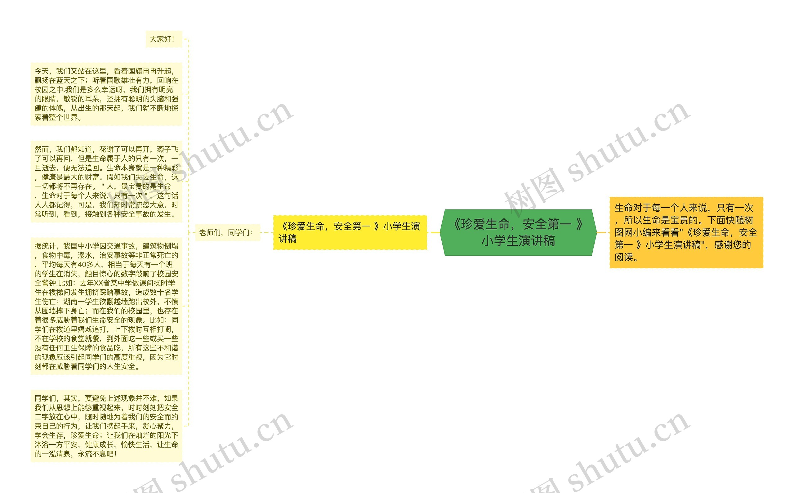 《珍爱生命，安全第一 》小学生演讲稿思维导图