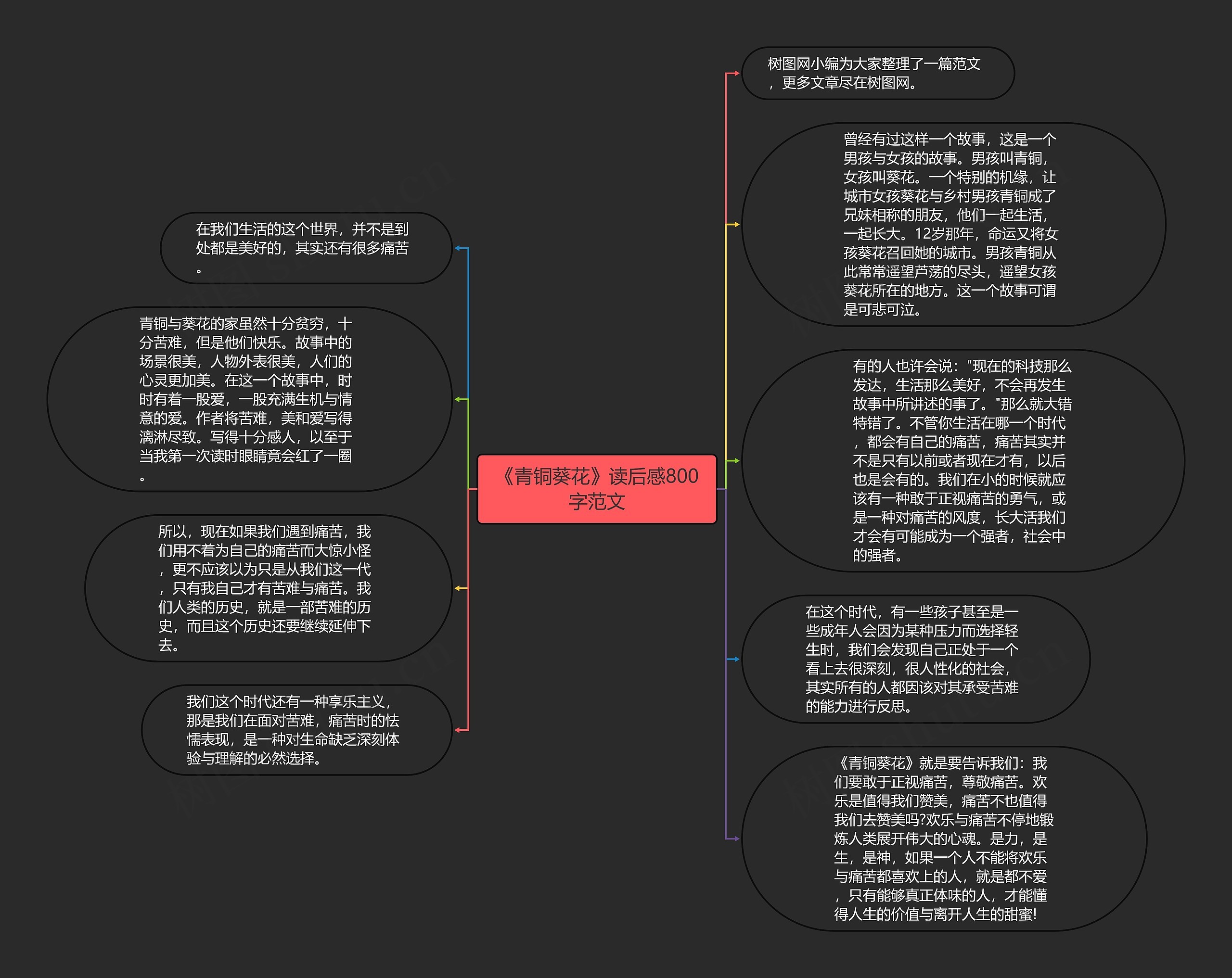 《青铜葵花》读后感800字范文思维导图