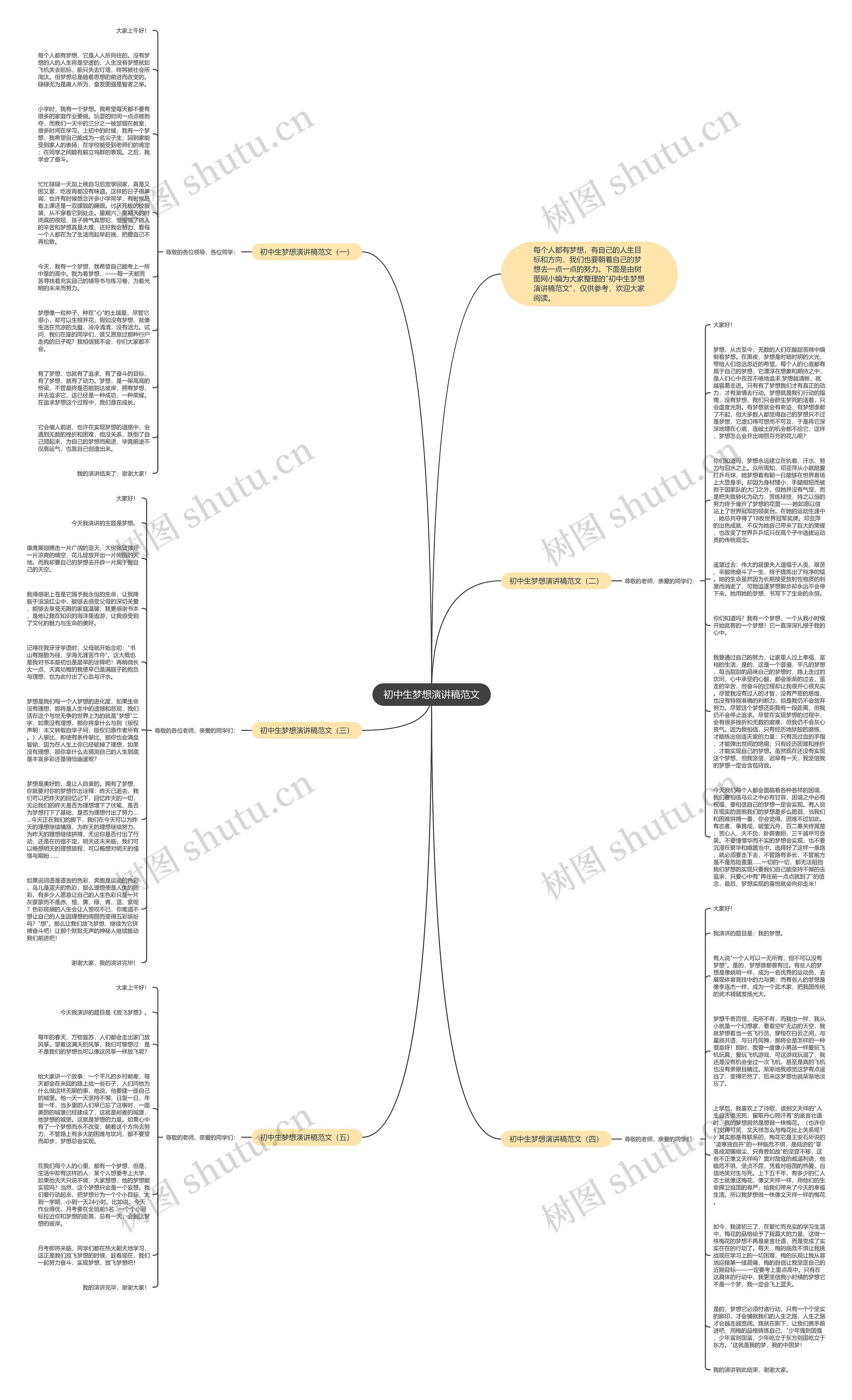 初中生梦想演讲稿范文思维导图