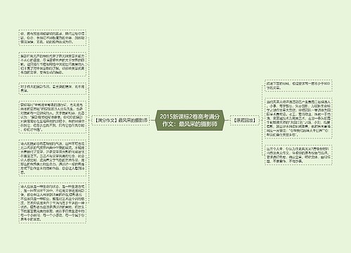 2015新课标2卷高考满分作文：最风采的摄影师