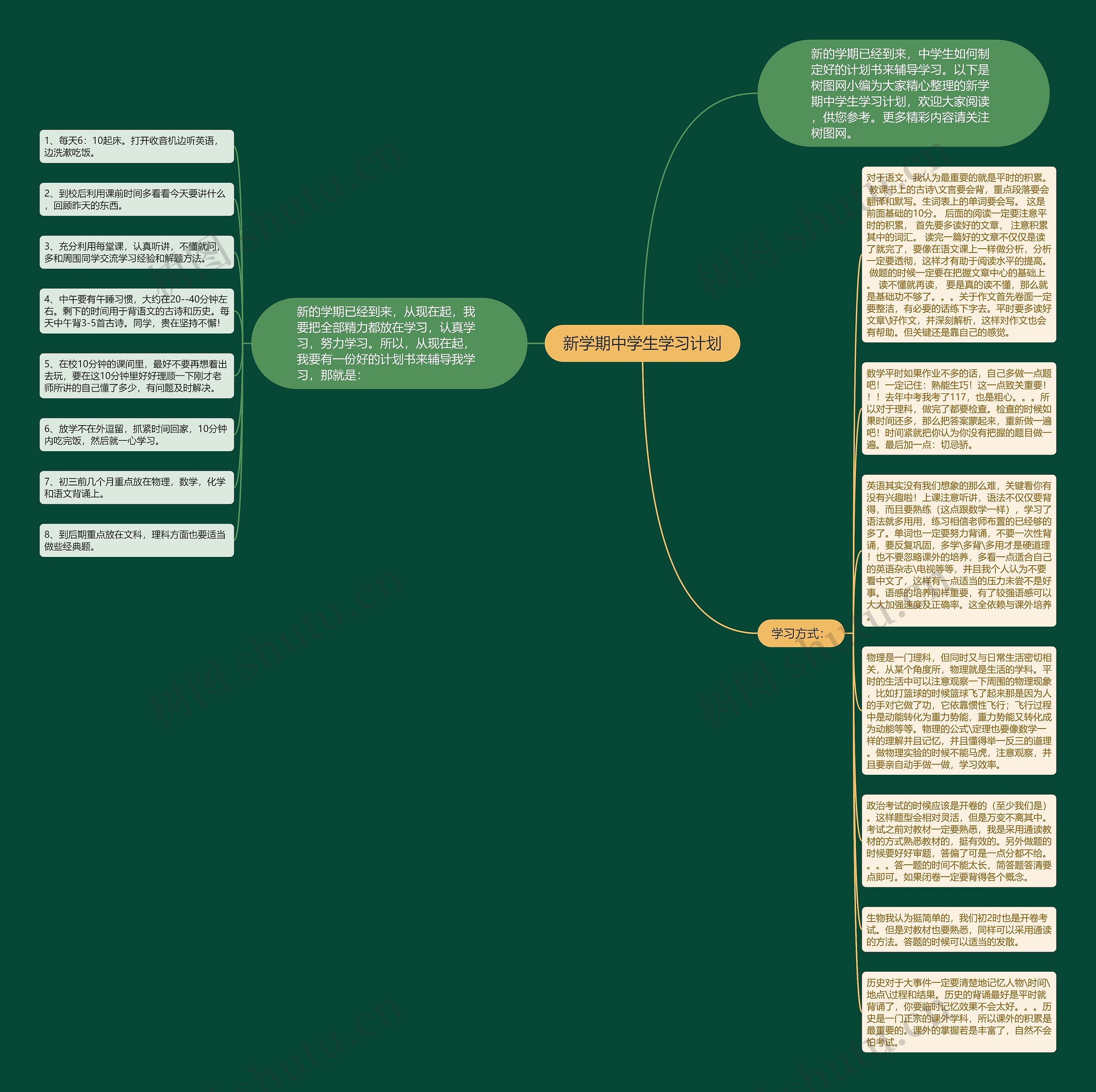 新学期中学生学习计划思维导图