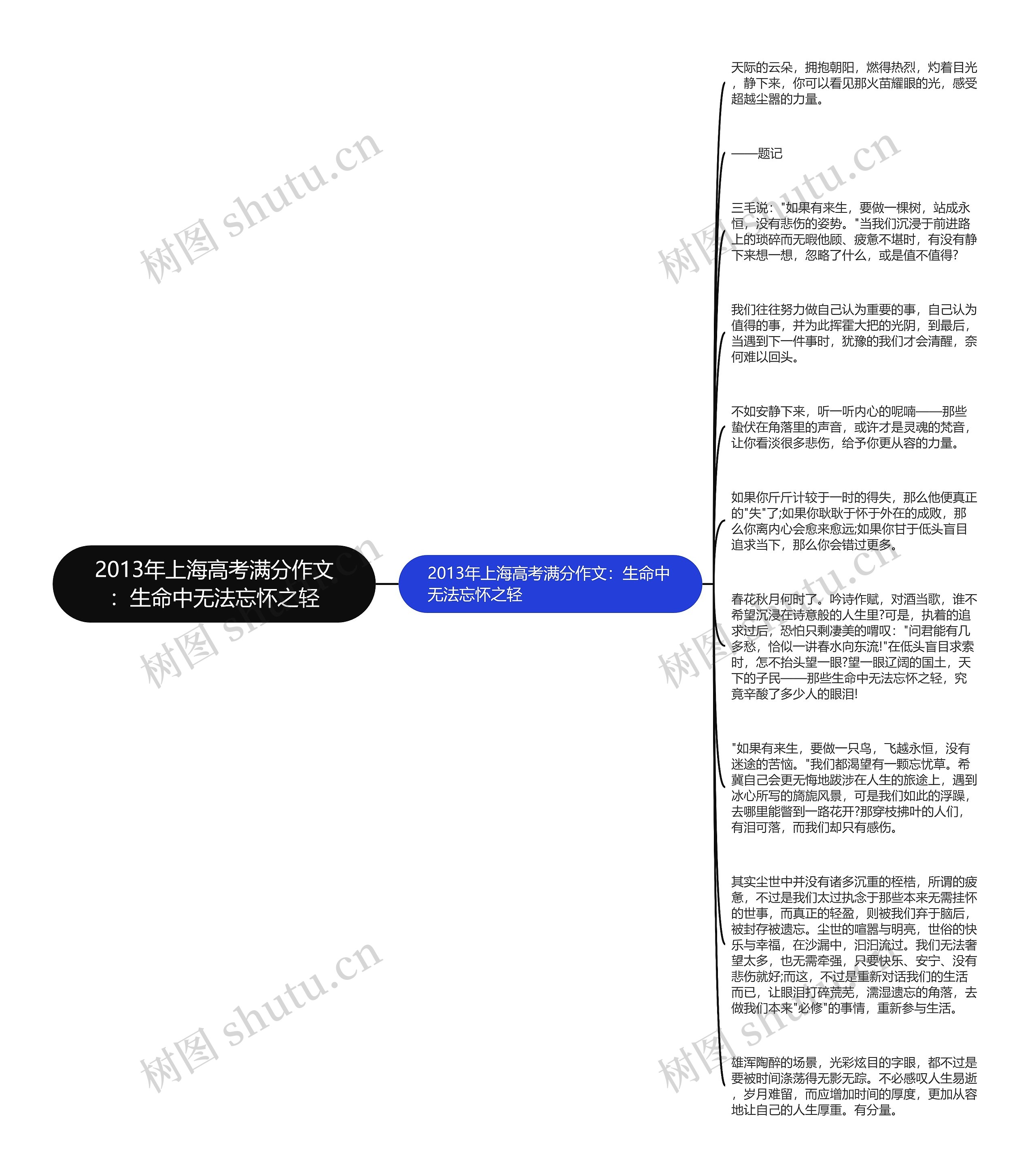 2013年上海高考满分作文：生命中无法忘怀之轻思维导图