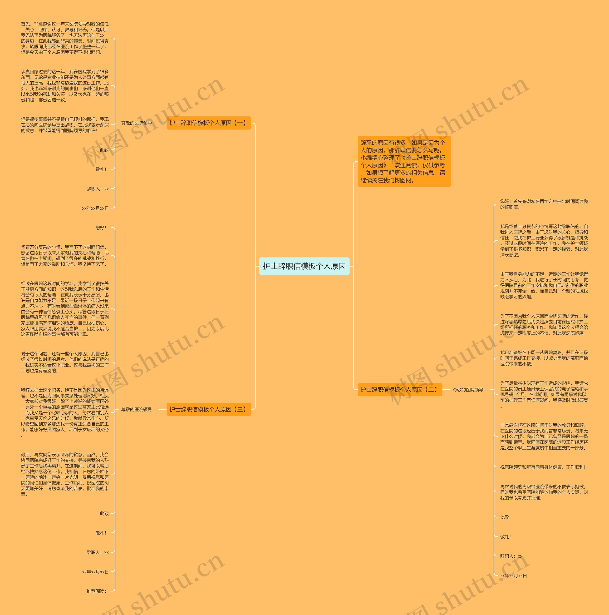 护士辞职信个人原因思维导图