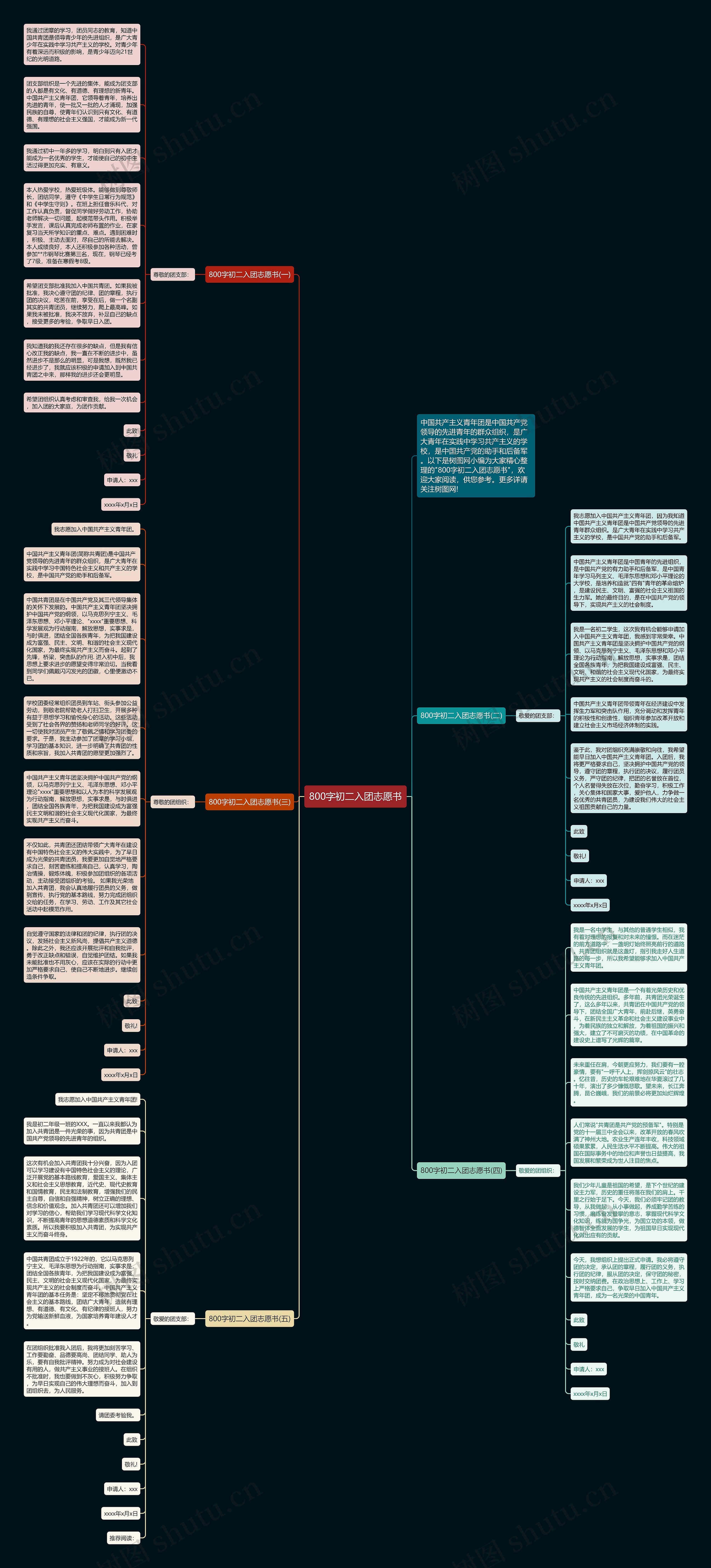 800字初二入团志愿书思维导图