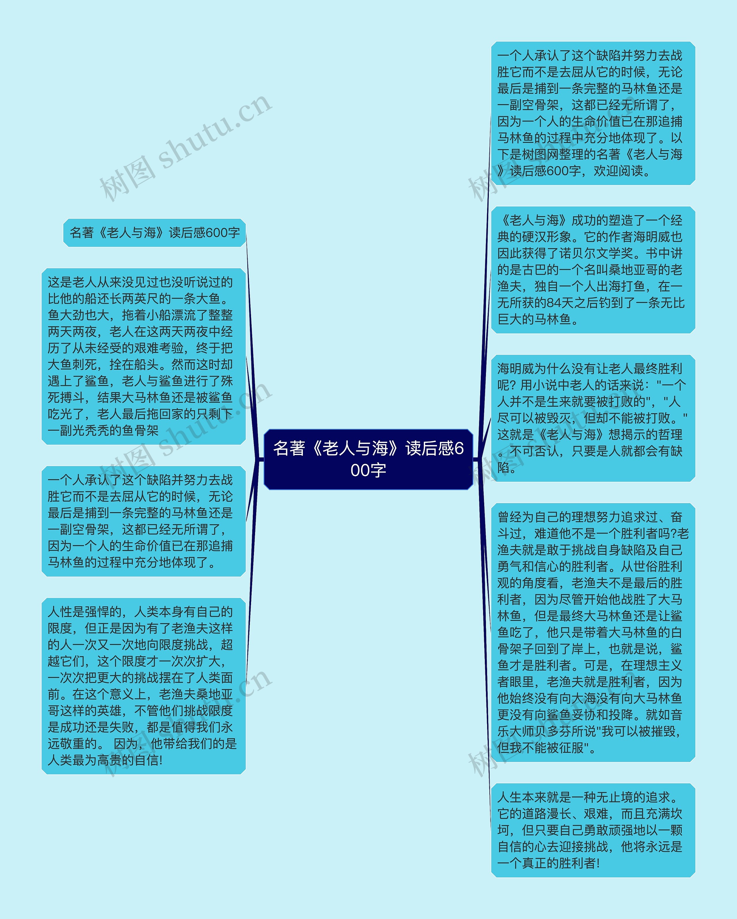 名著《老人与海》读后感600字