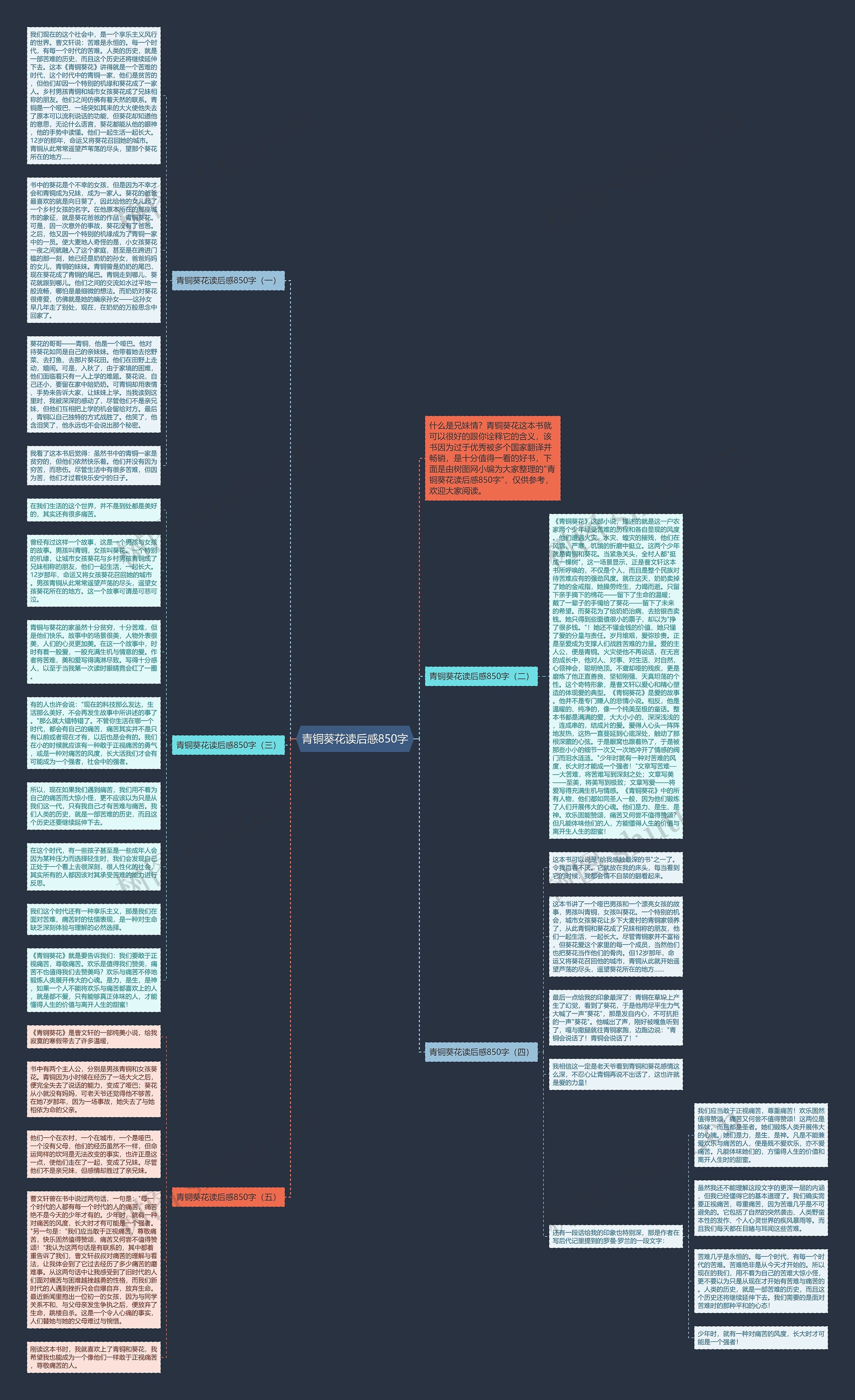 青铜葵花读后感850字思维导图