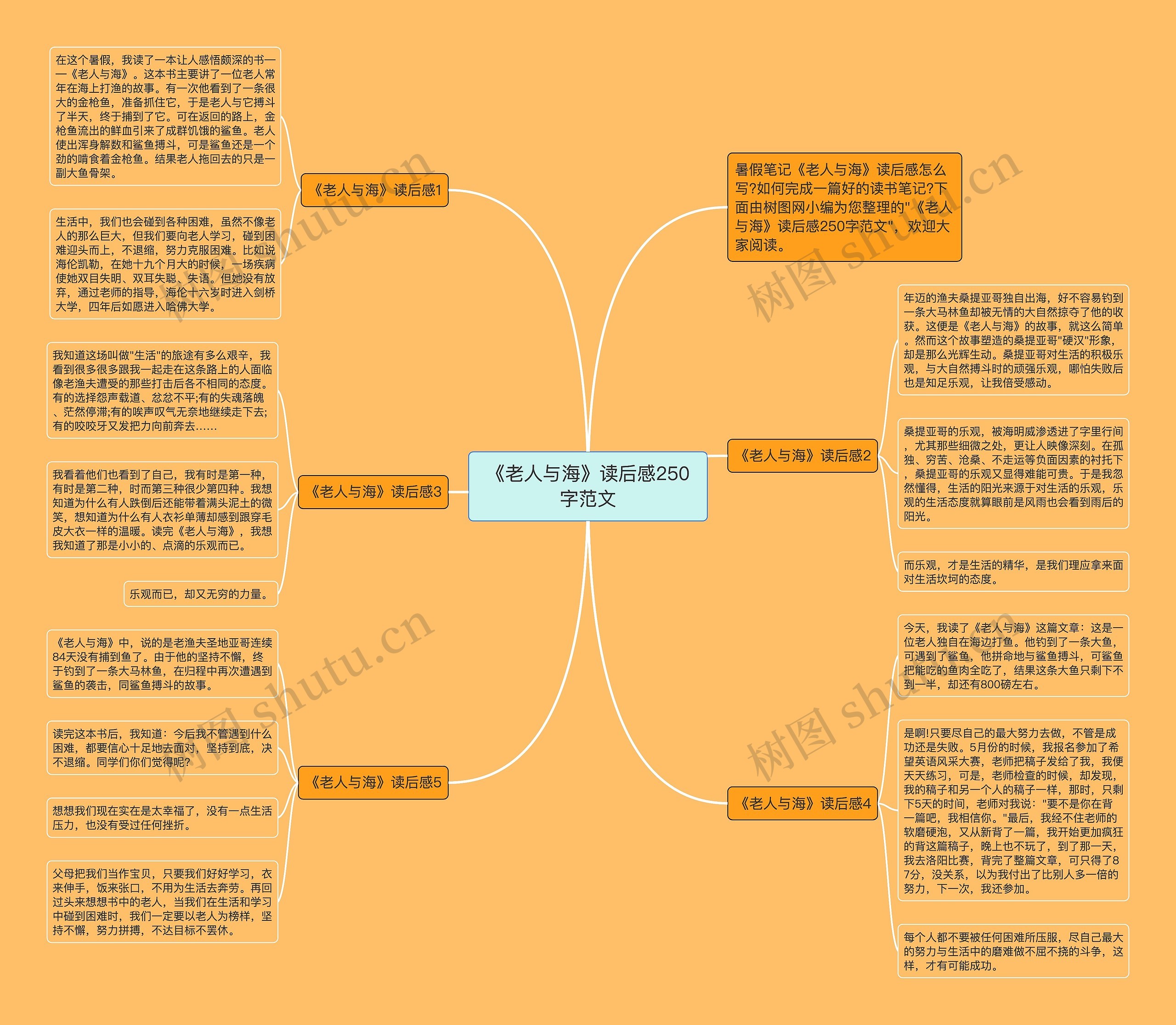 《老人与海》读后感250字范文