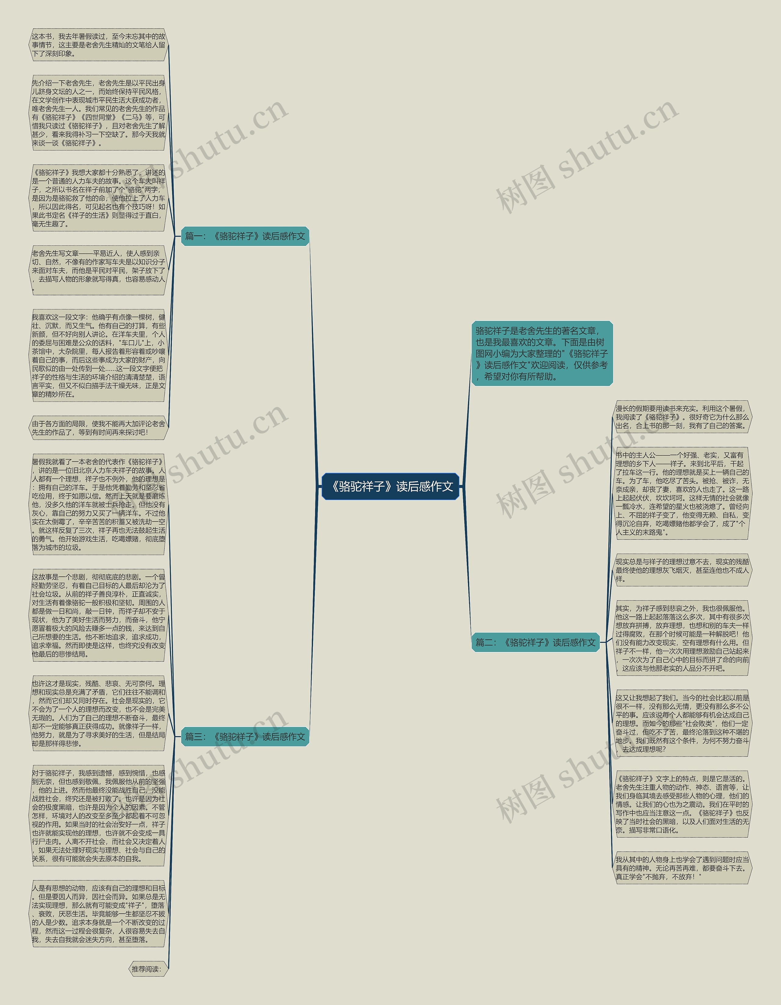 《骆驼祥子》读后感作文思维导图