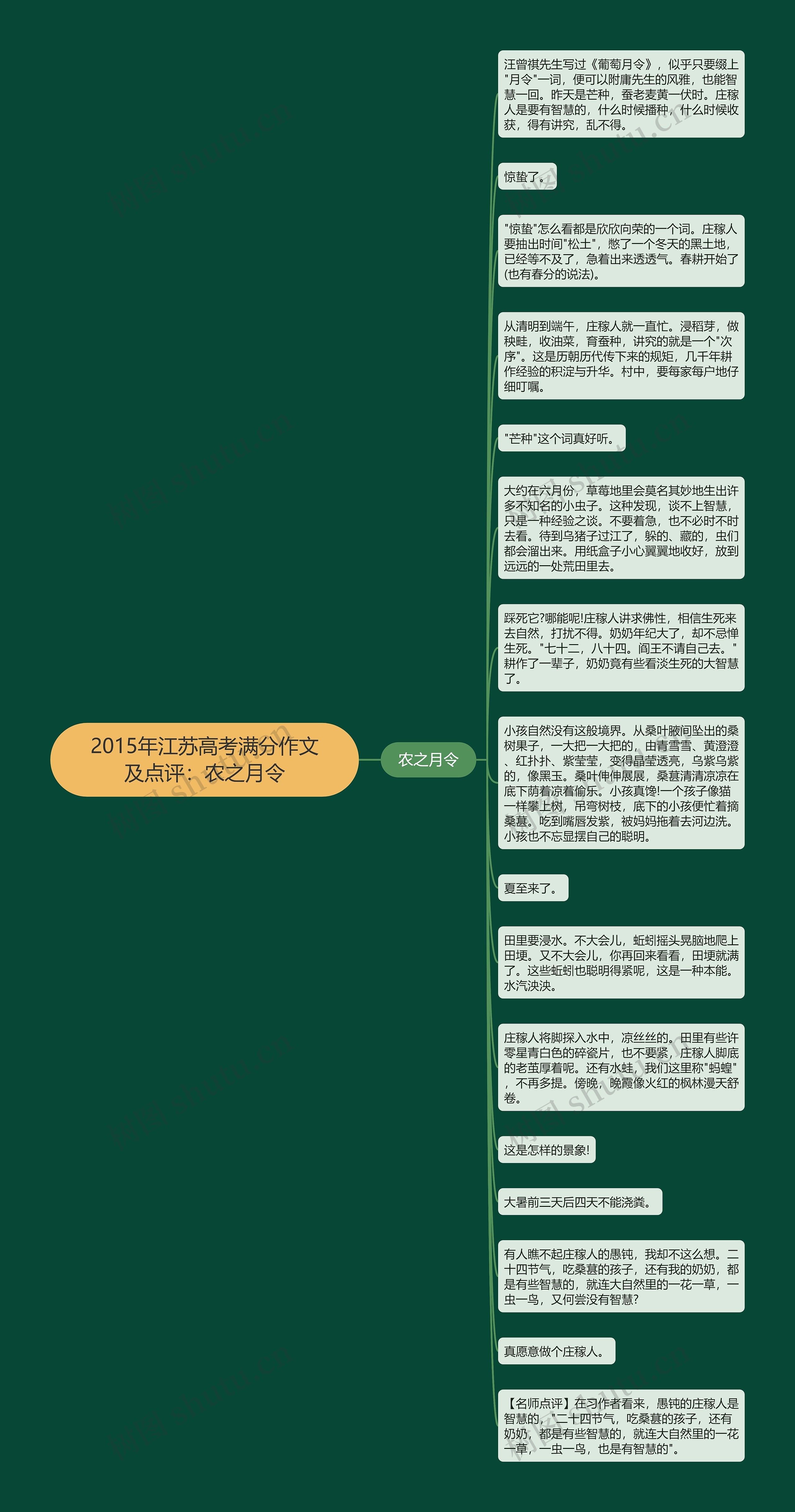 2015年江苏高考满分作文及点评：农之月令思维导图