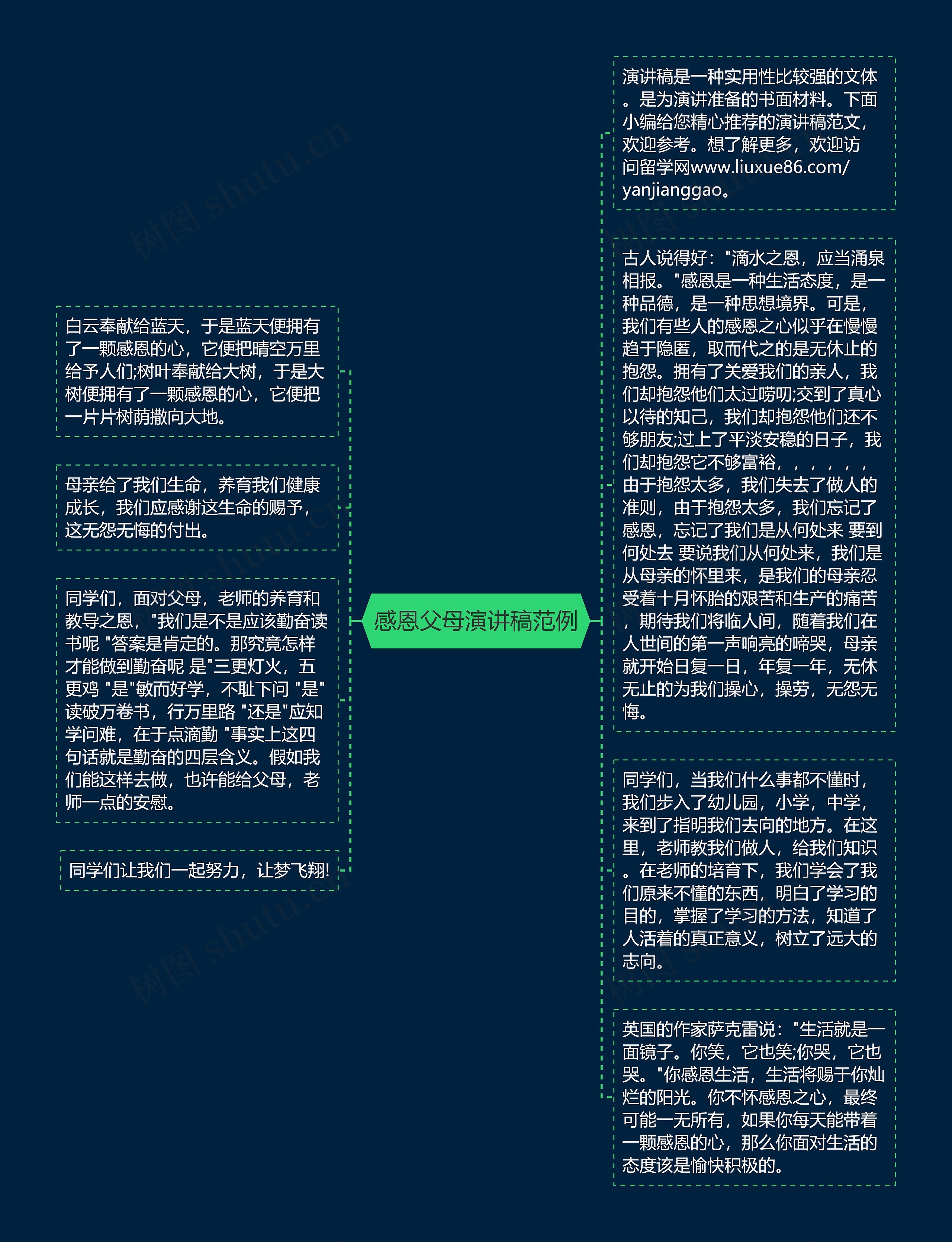 感恩父母演讲稿范例