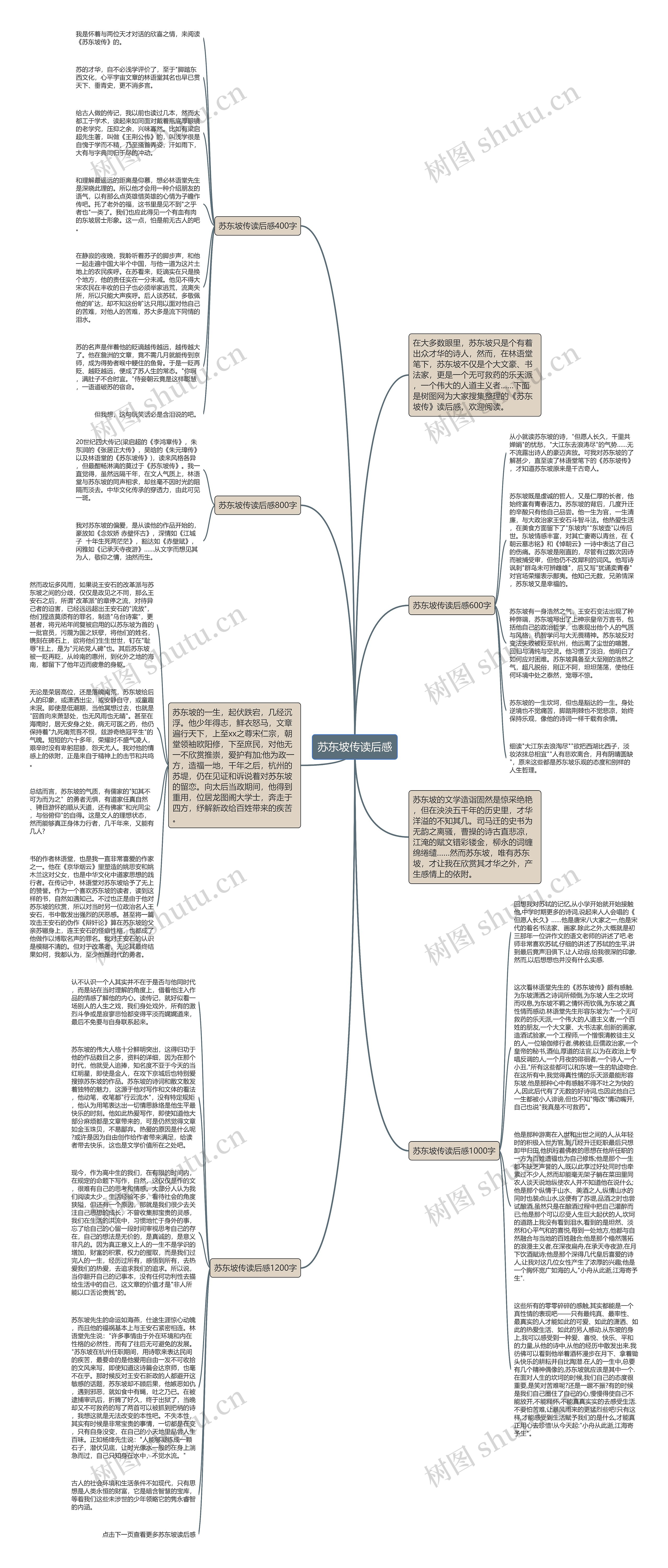苏东坡传读后感思维导图