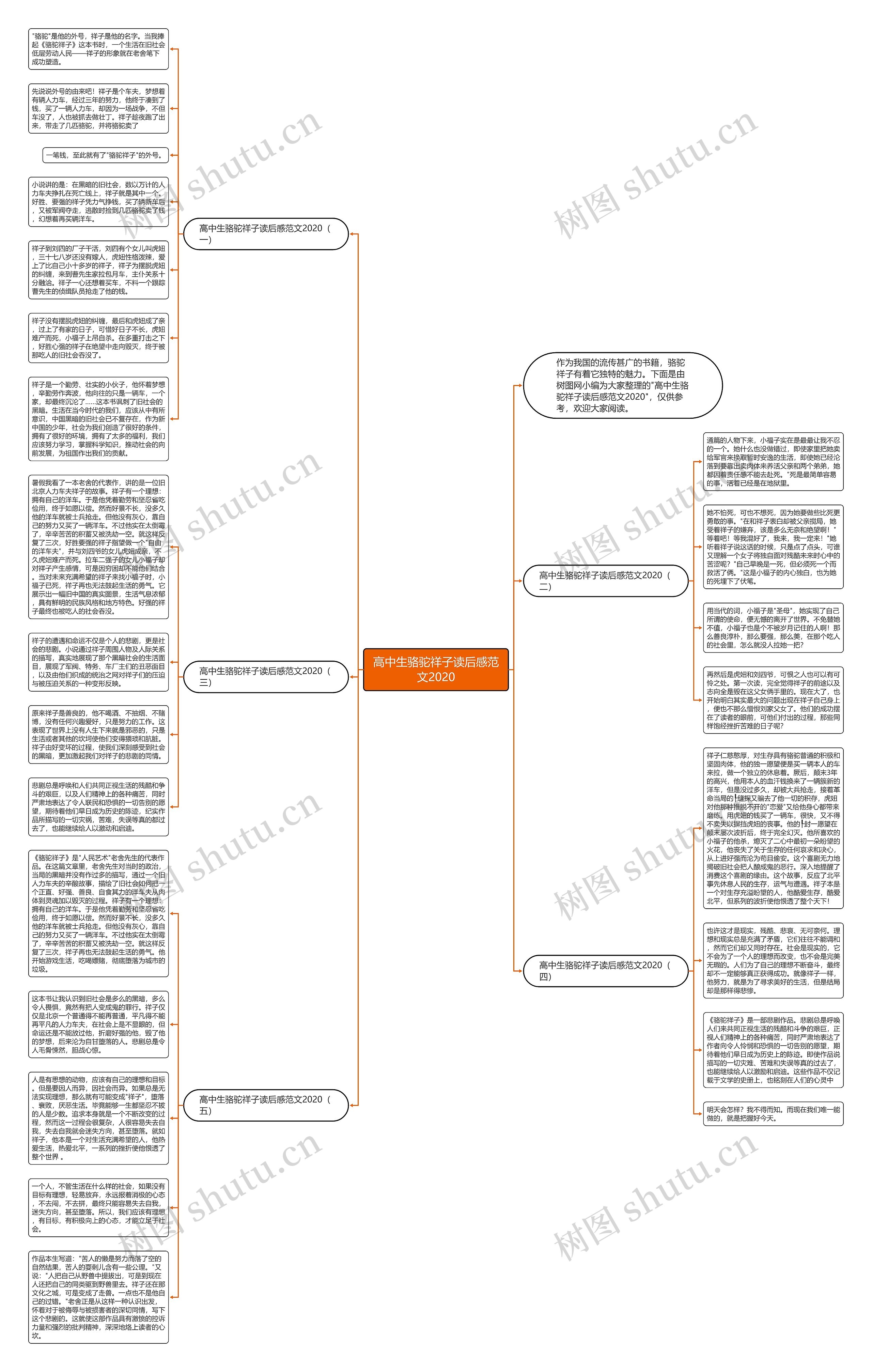 高中生骆驼祥子读后感范文2020思维导图