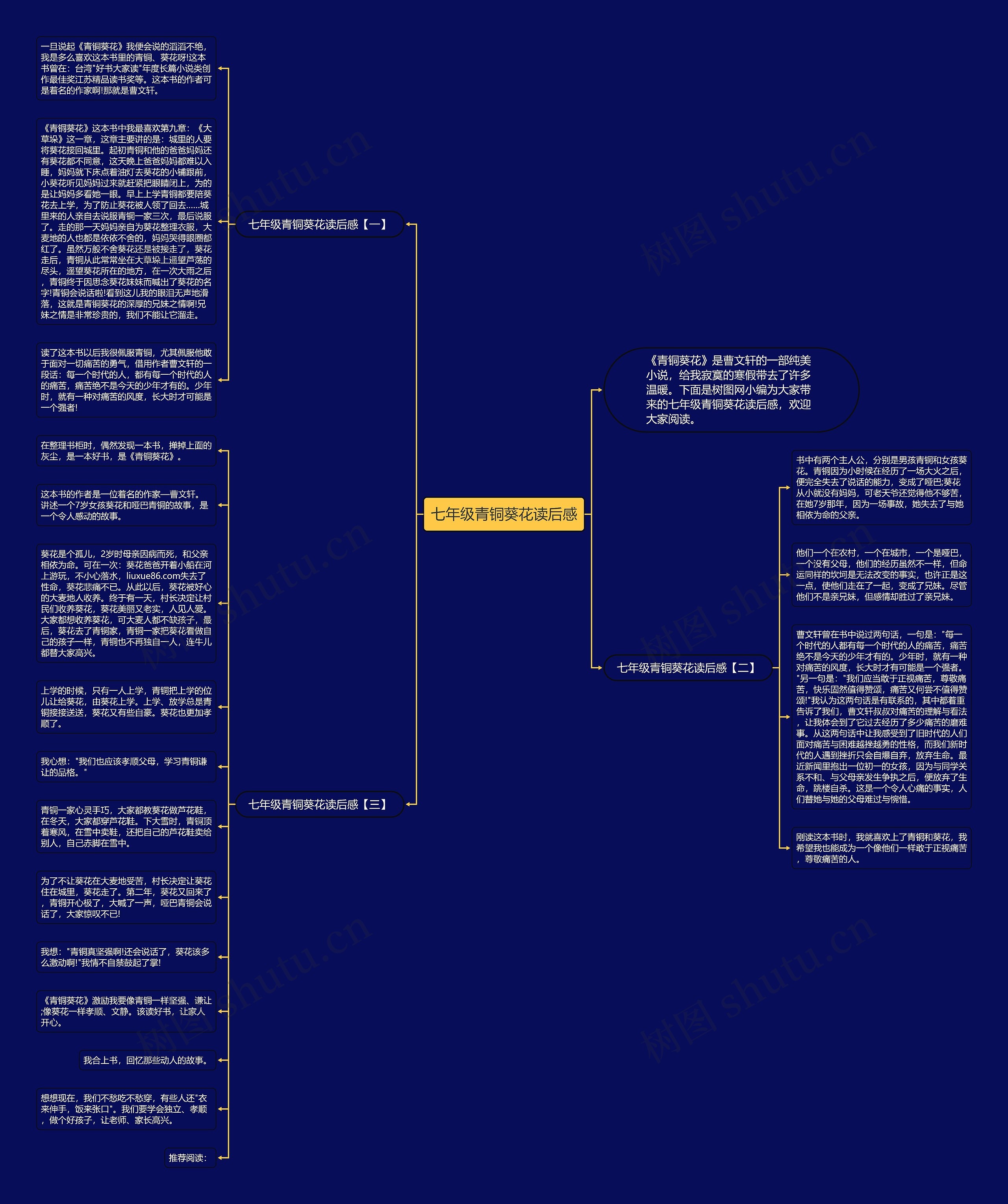 七年级青铜葵花读后感思维导图