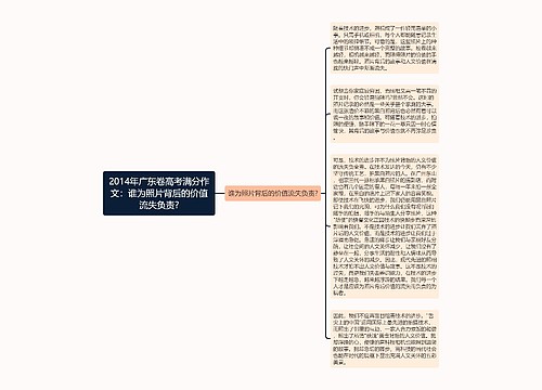 2014年广东卷高考满分作文：谁为照片背后的价值流失负责?