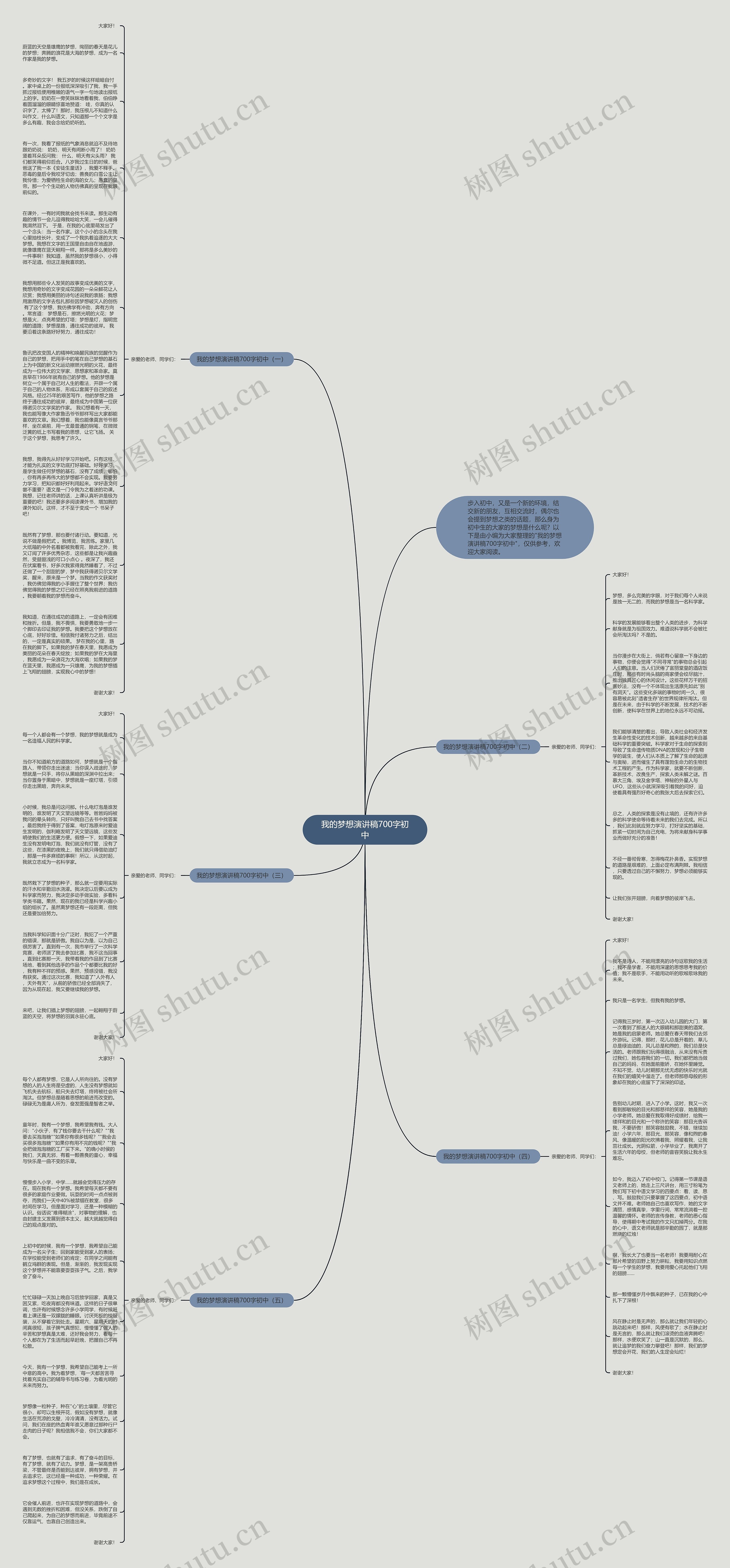 我的梦想演讲稿700字初中思维导图