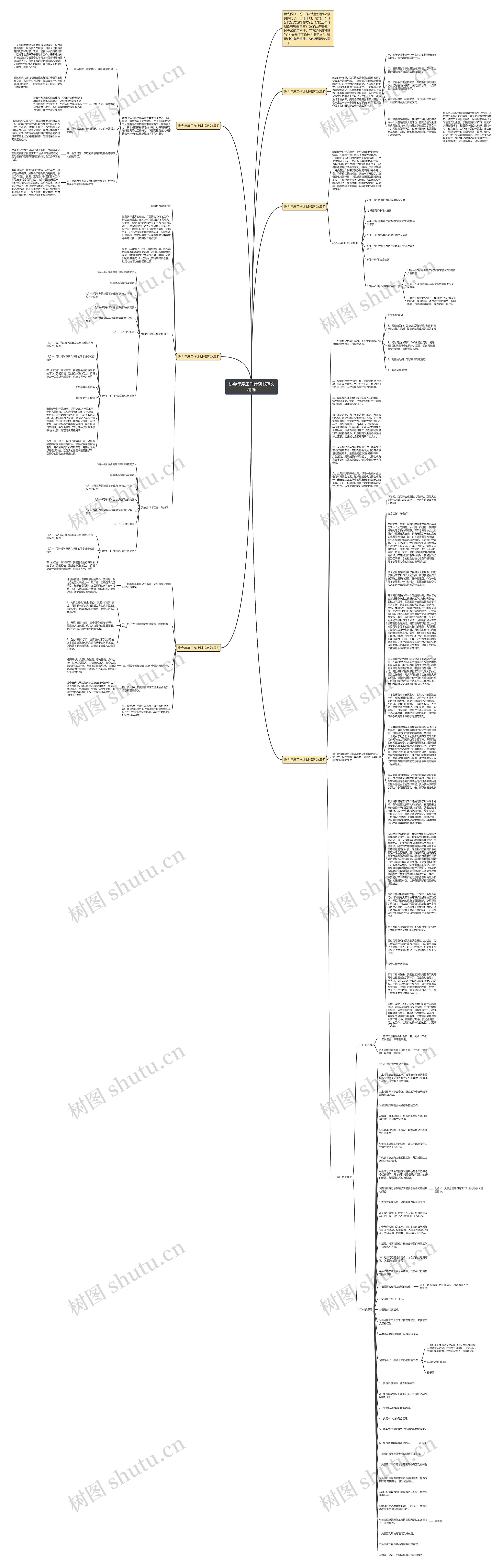 协会年度工作计划书范文精选思维导图