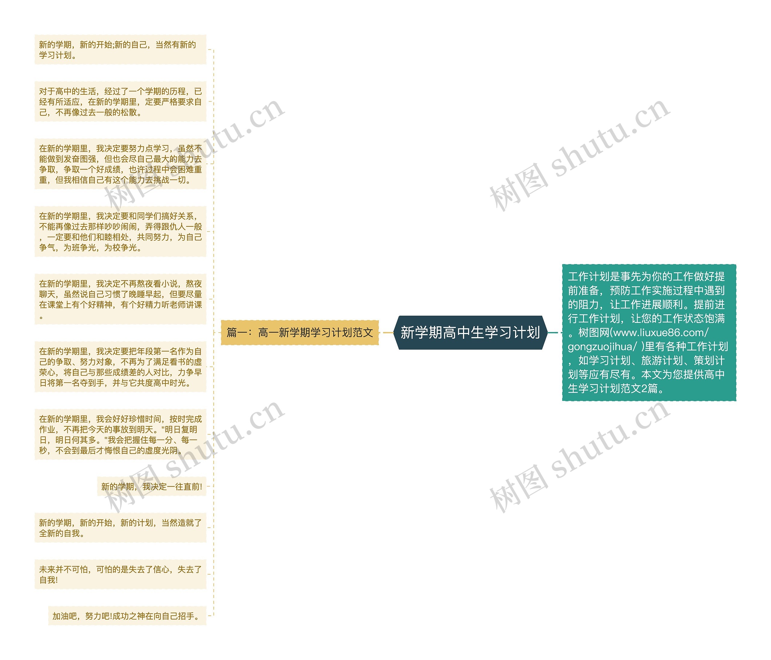 新学期高中生学习计划