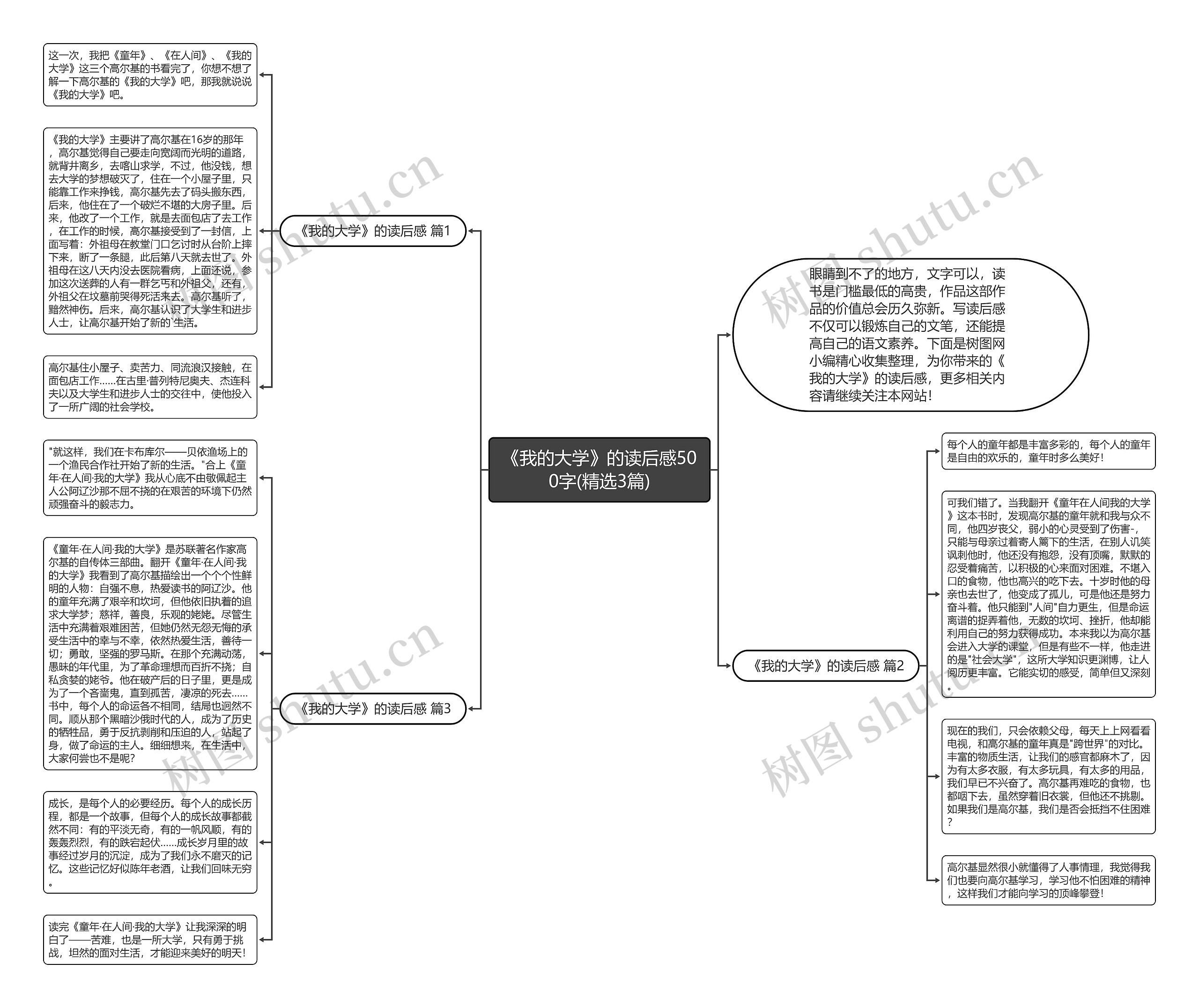 《我的大学》的读后感500字(精选3篇)思维导图