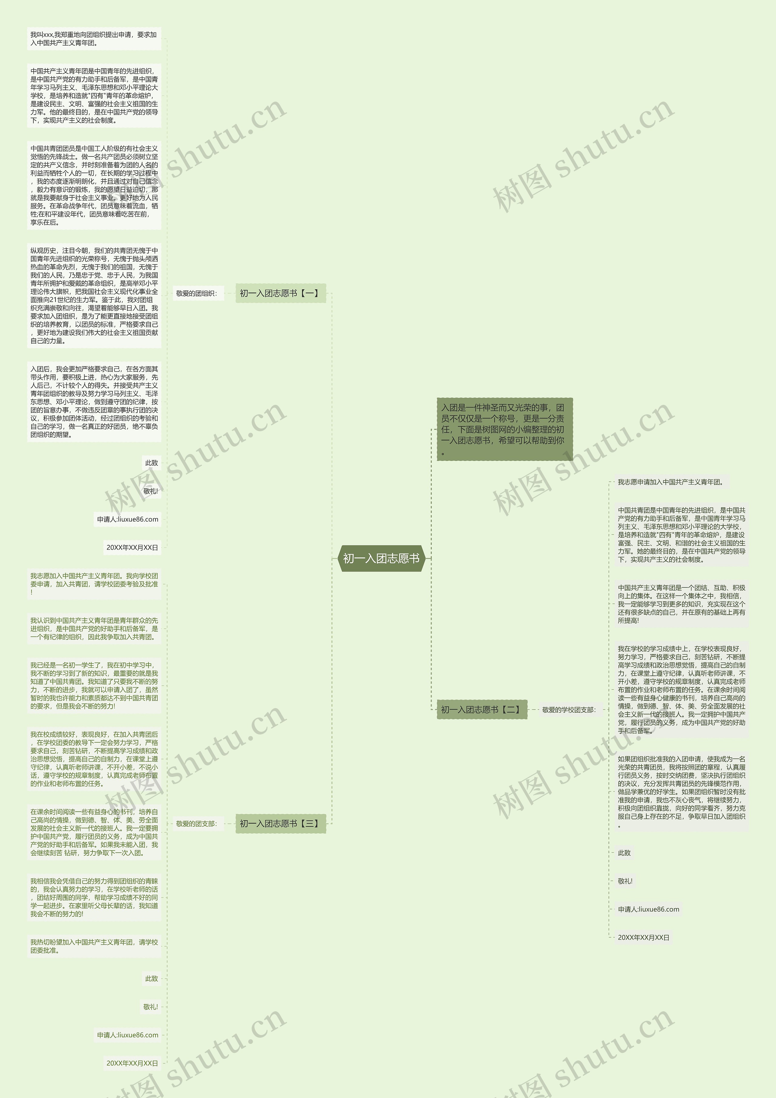 初一入团志愿书思维导图