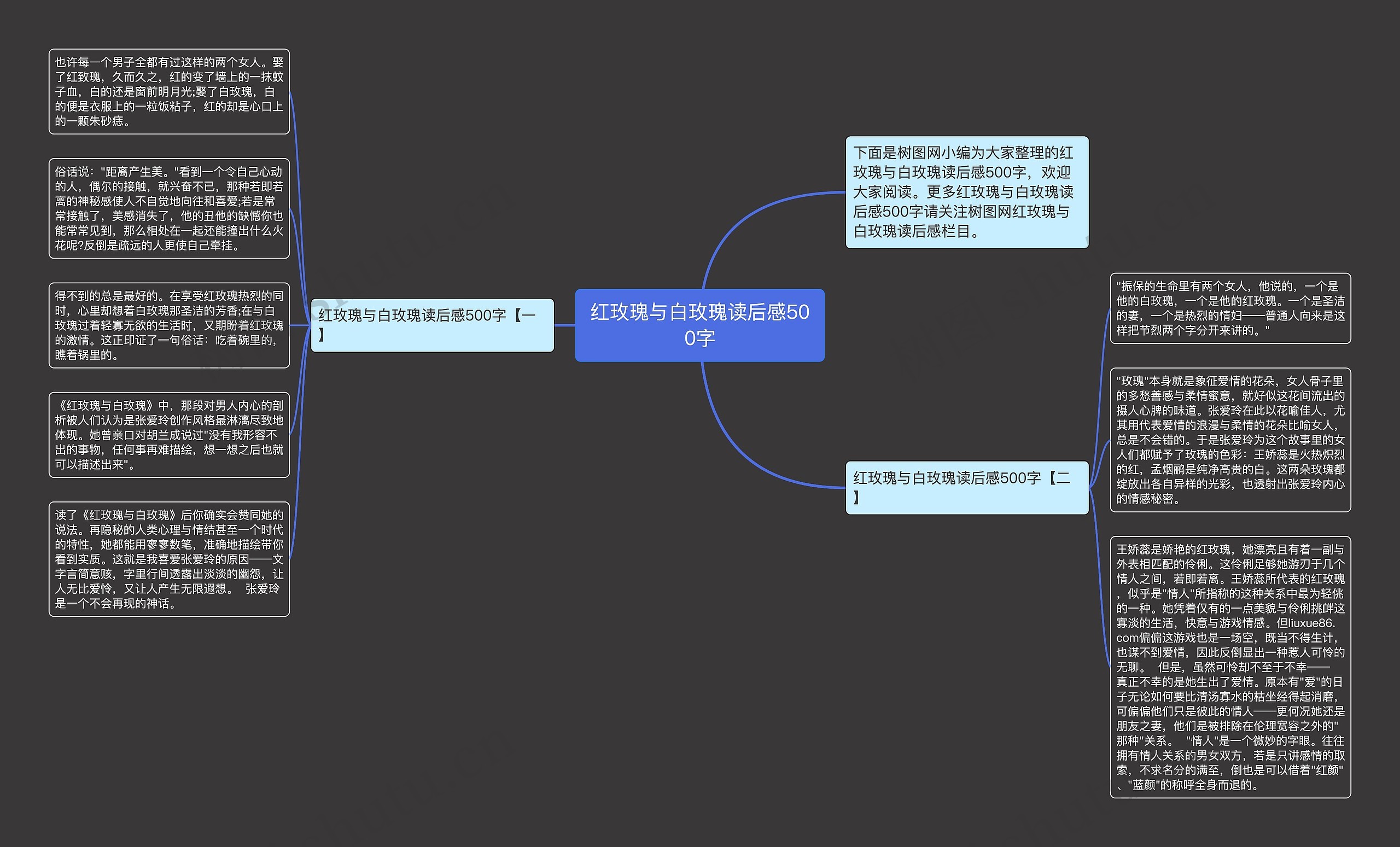 红玫瑰与白玫瑰读后感500字