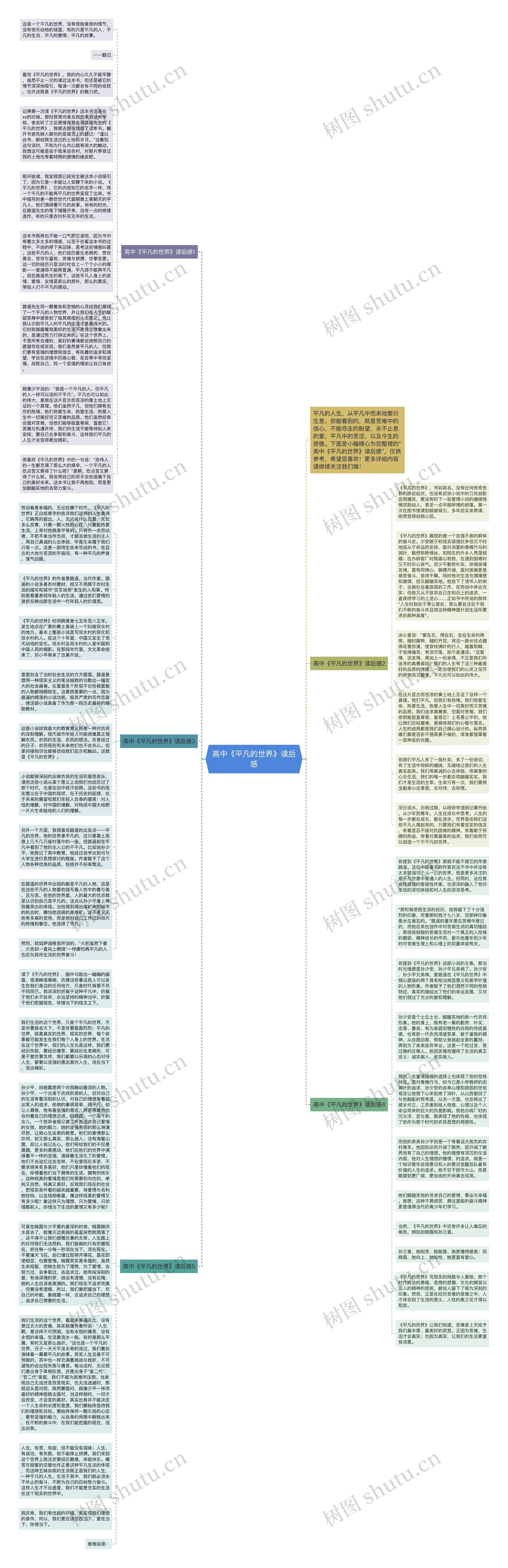 高中《平凡的世界》读后感思维导图