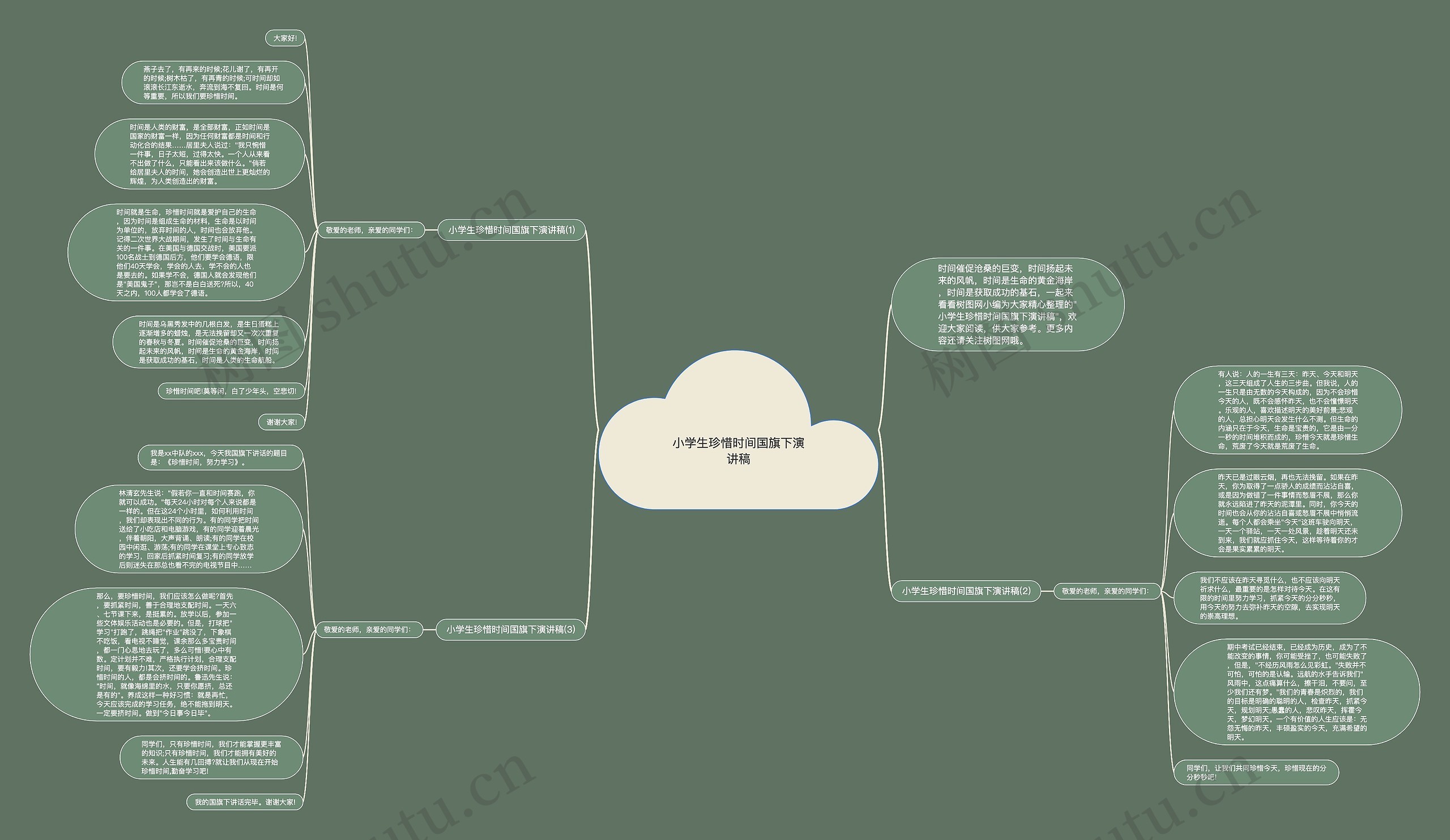 小学生珍惜时间国旗下演讲稿思维导图