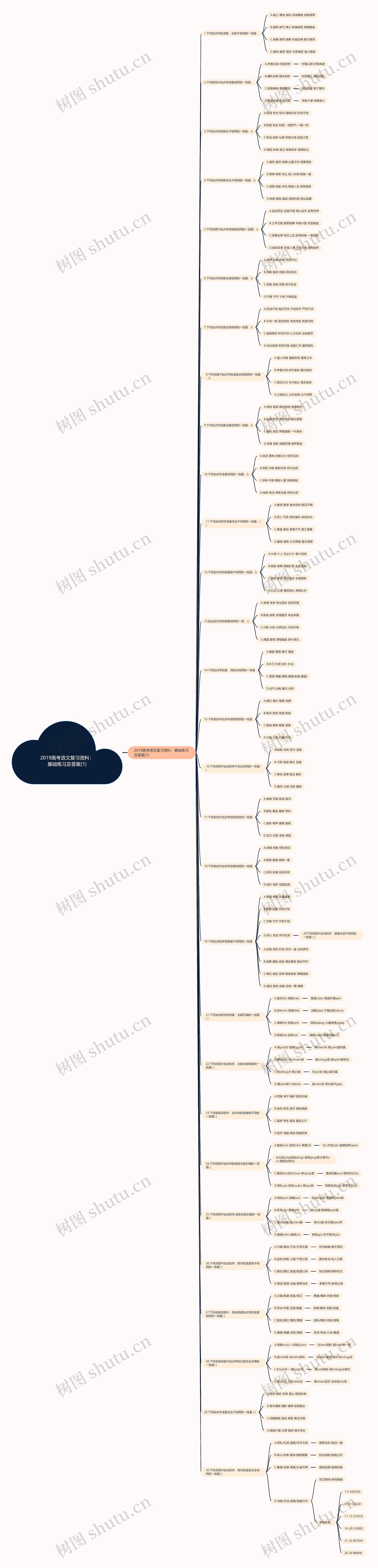 2019高考语文复习资料：基础练习及答案(1)思维导图