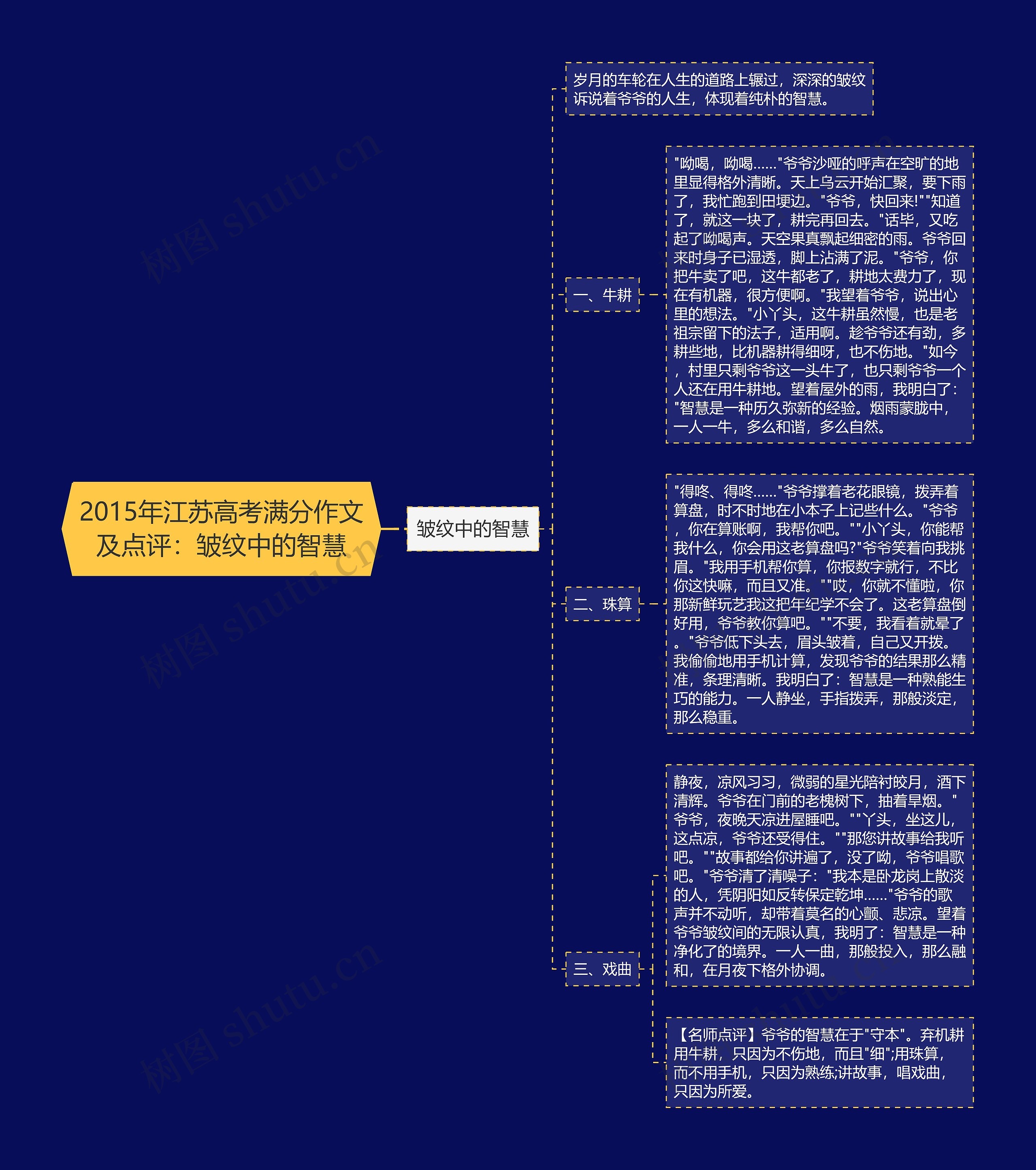 2015年江苏高考满分作文及点评：皱纹中的智慧思维导图